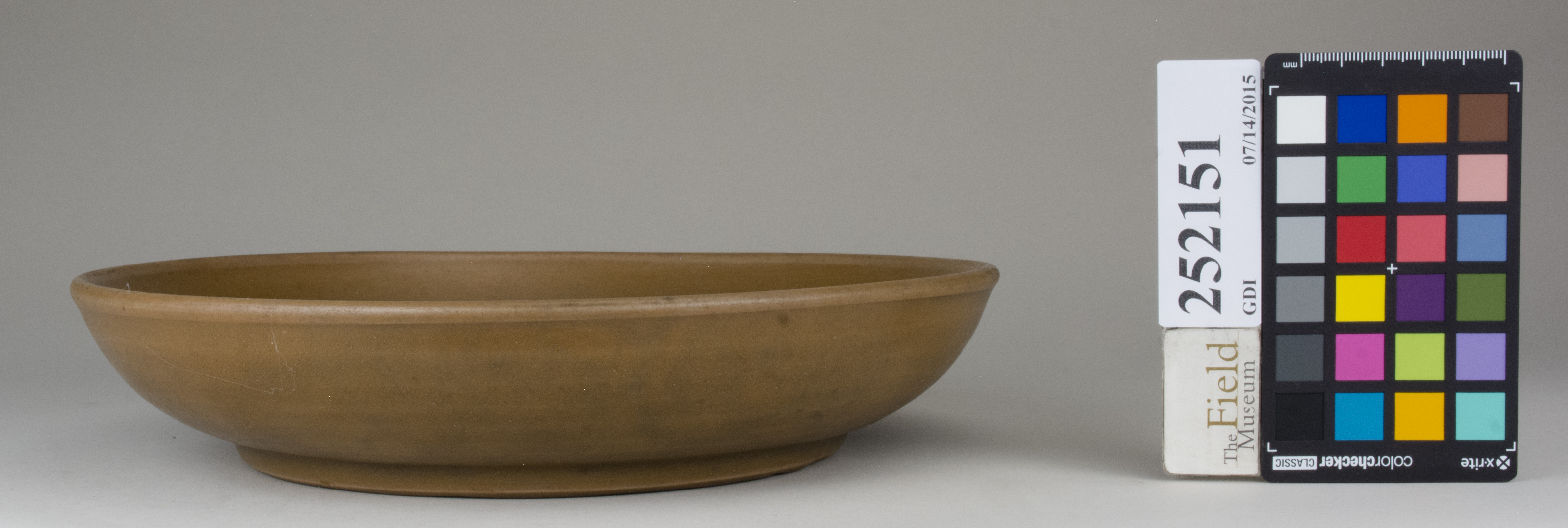 Front (c) Field Museum of Natural History - CC BY-NC 4.0