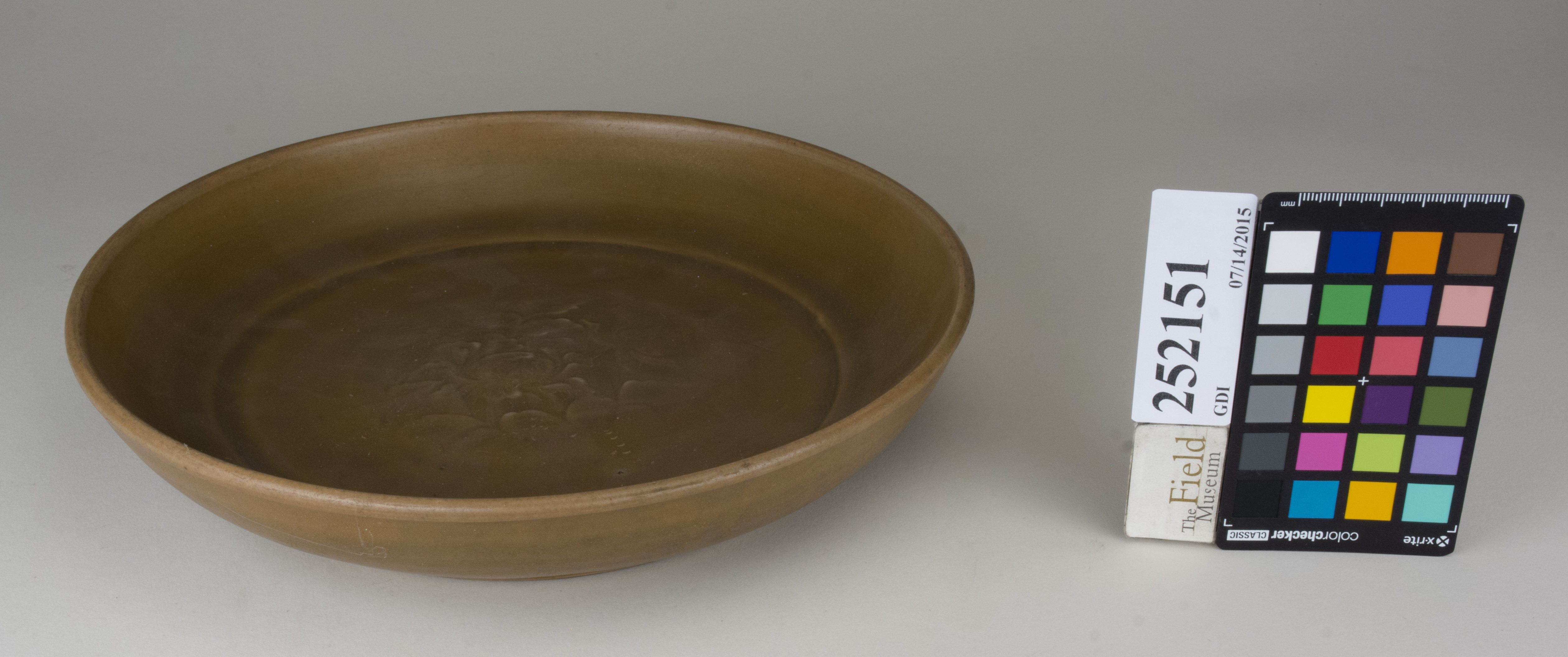 FrontAngle (c) Field Museum of Natural History - CC BY-NC 4.0