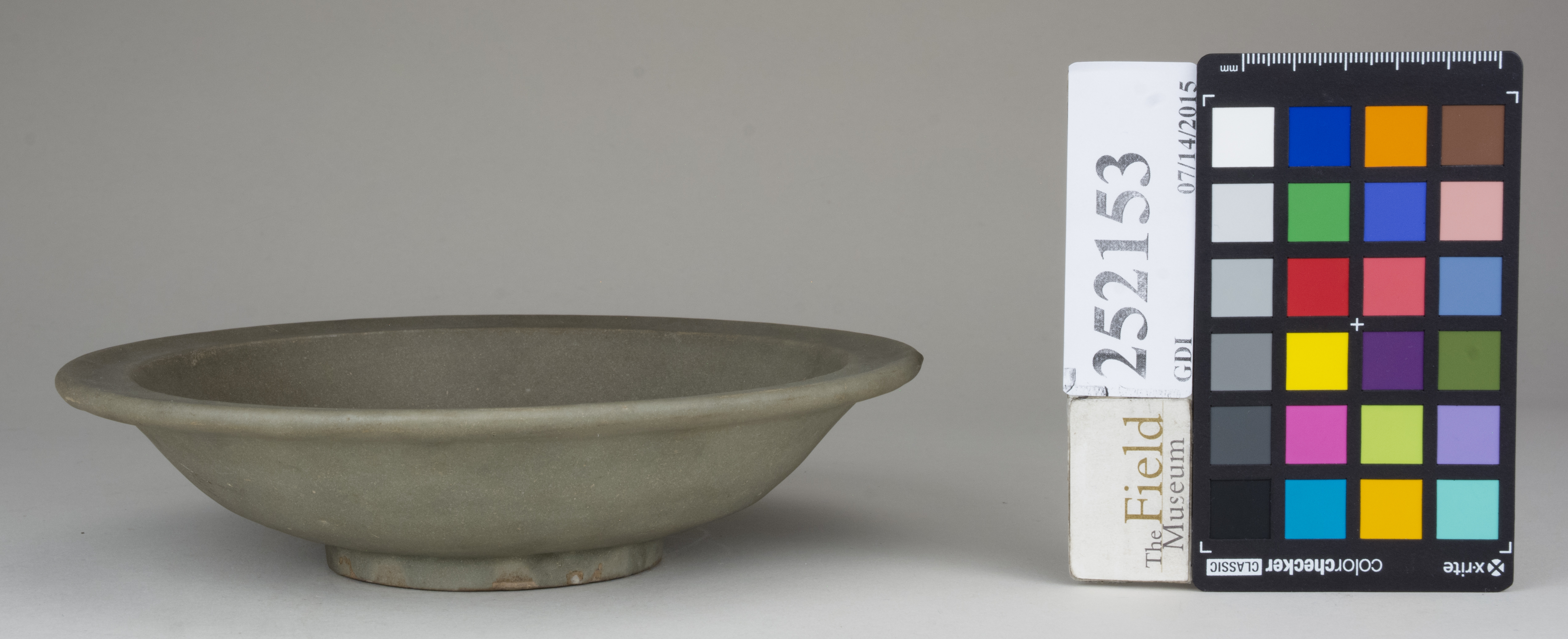 reference image, back (c) Field Museum of Natural History - CC BY-NC 4.0