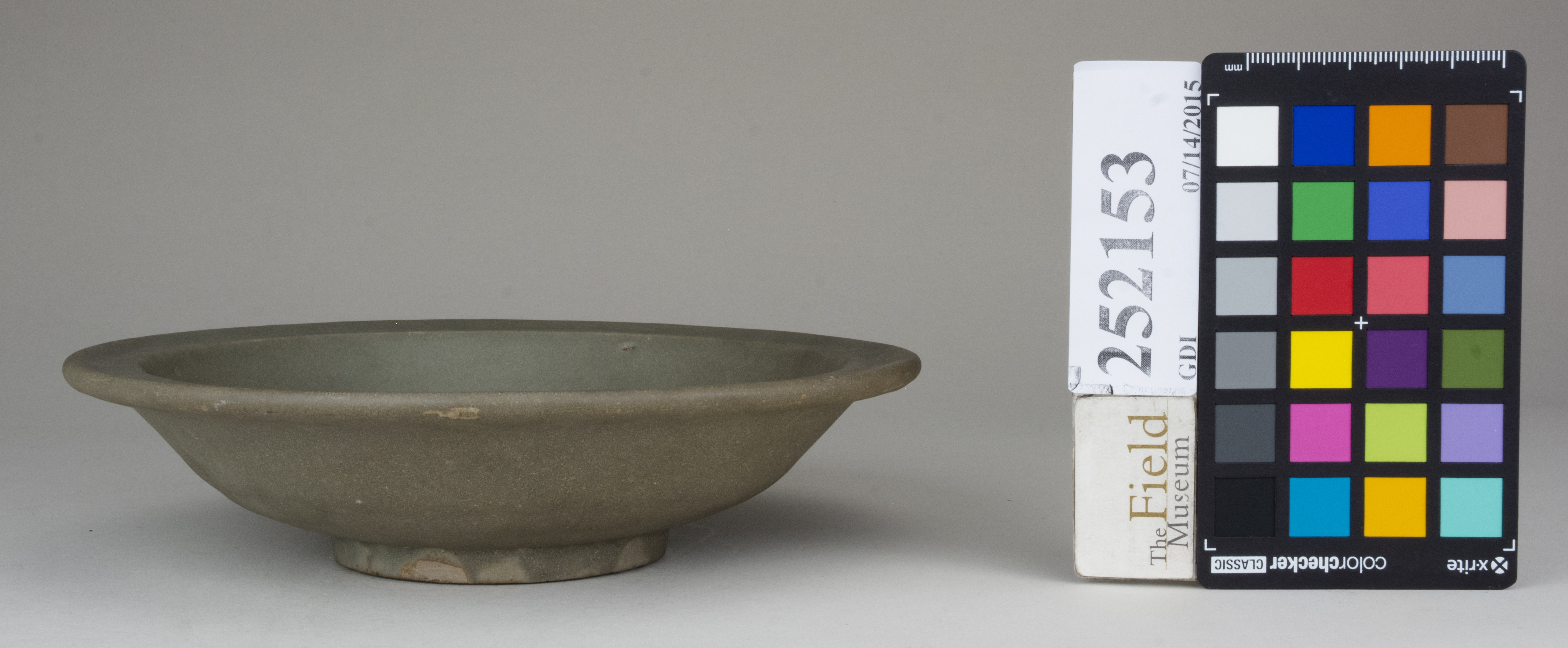 Front (c) Field Museum of Natural History - CC BY-NC 4.0