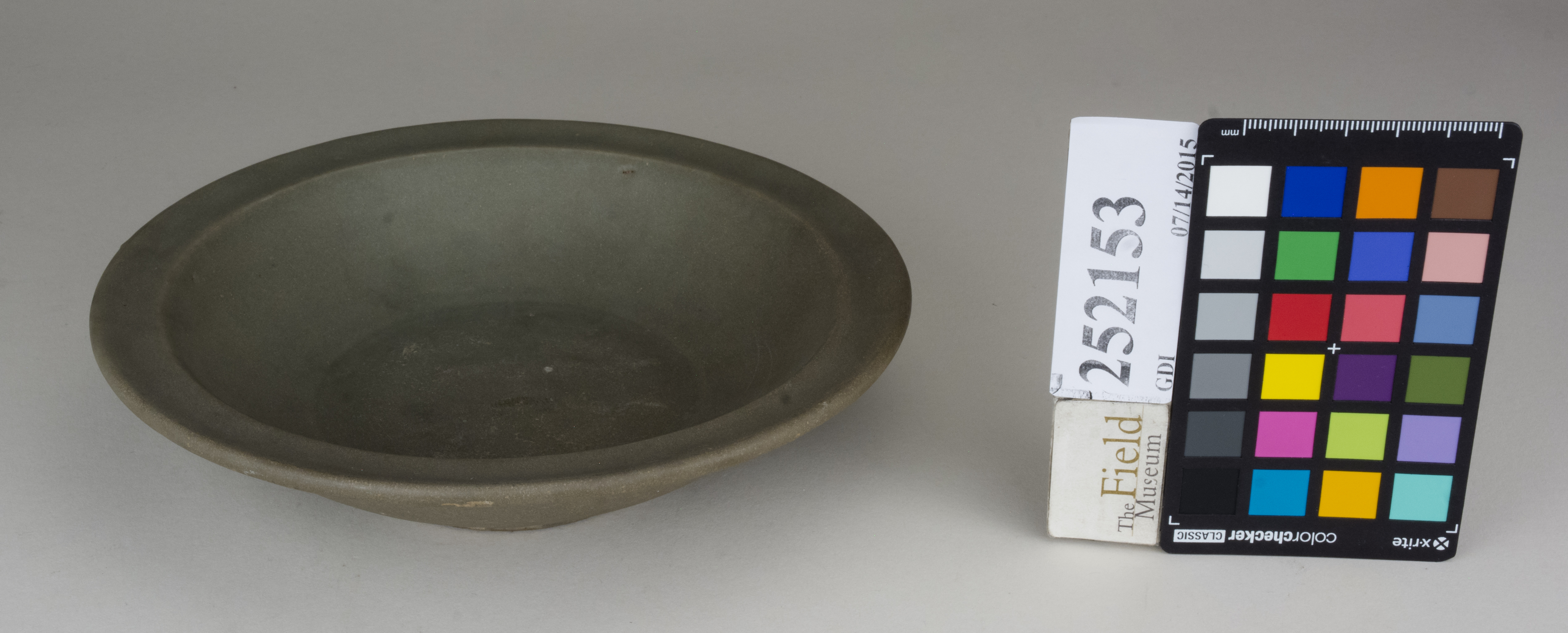 FrontAngle (c) Field Museum of Natural History - CC BY-NC 4.0