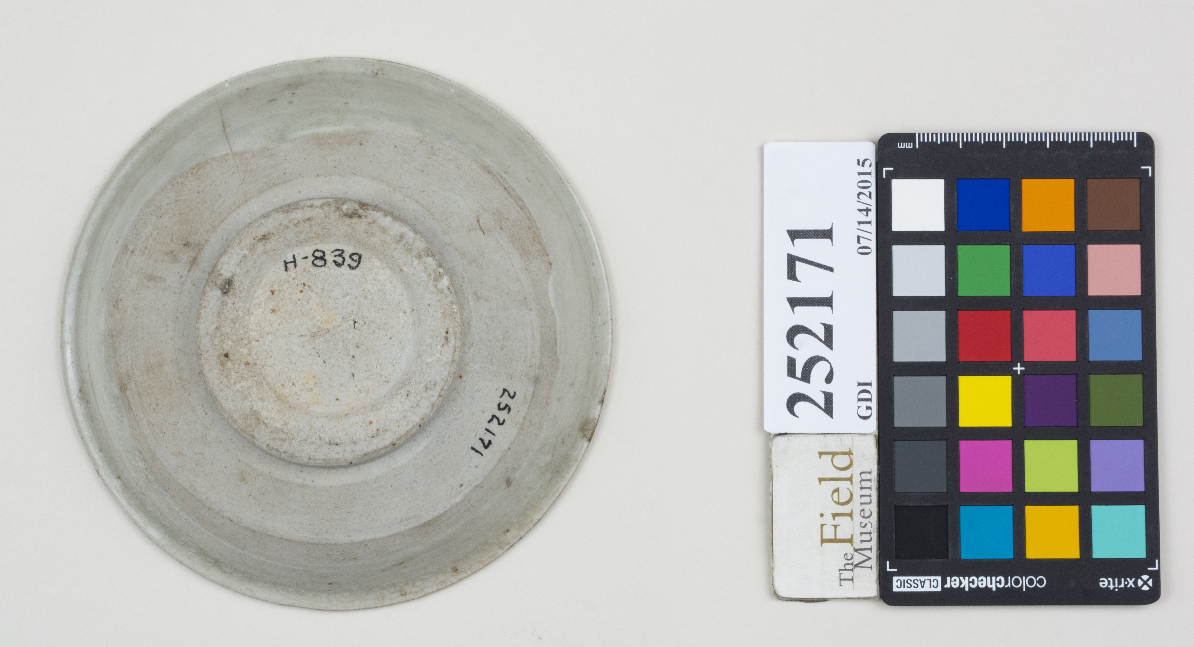 Bottom (c) Field Museum of Natural History - CC BY-NC 4.0