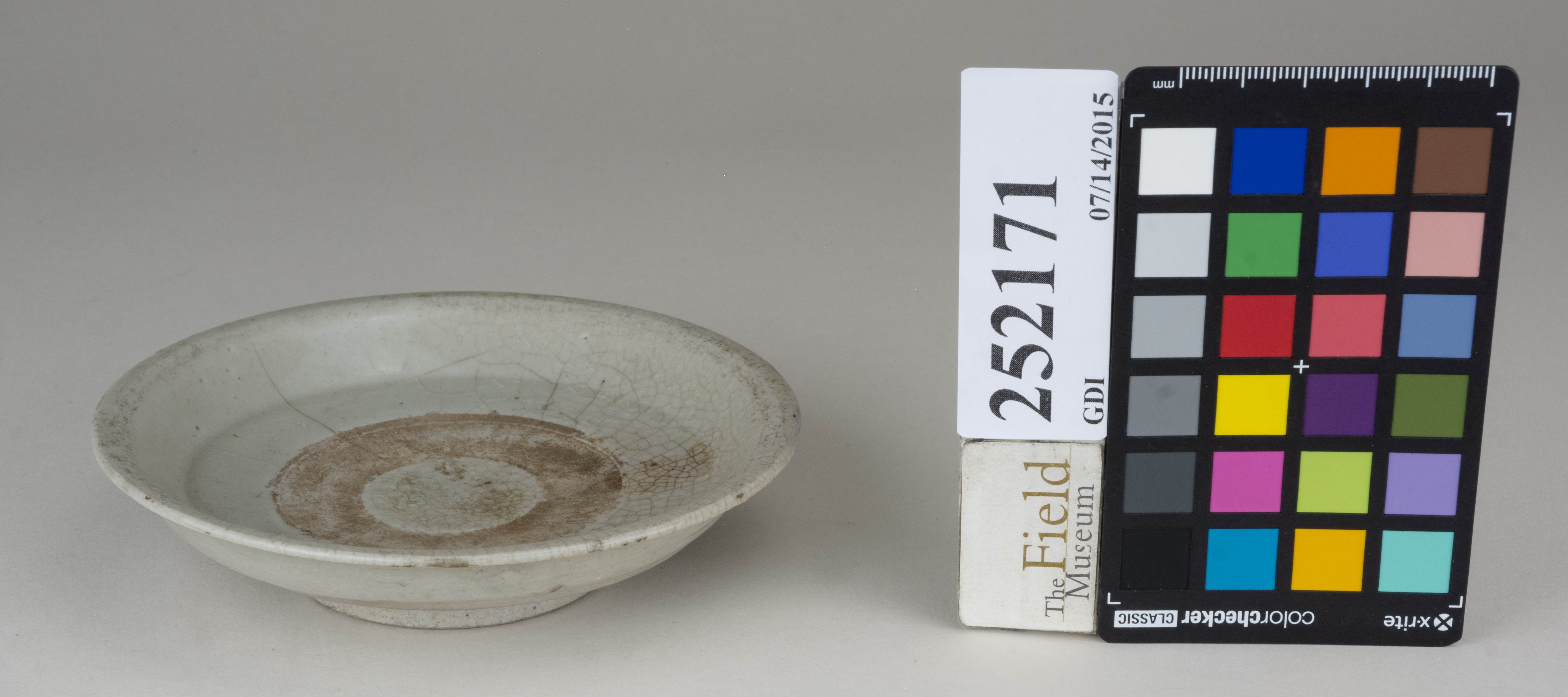 FrontAngle (c) Field Museum of Natural History - CC BY-NC 4.0