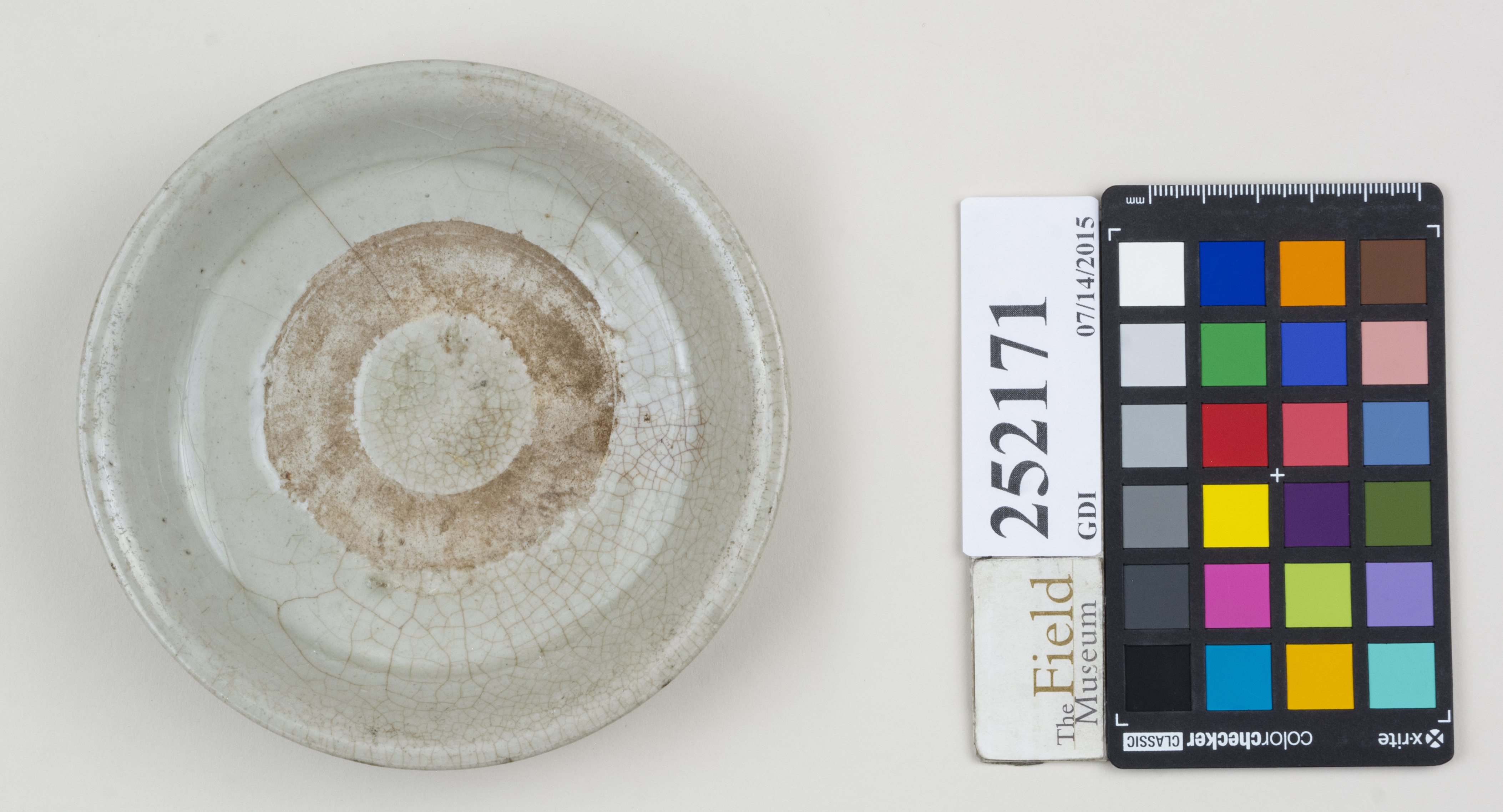 Top (c) Field Museum of Natural History - CC BY-NC 4.0