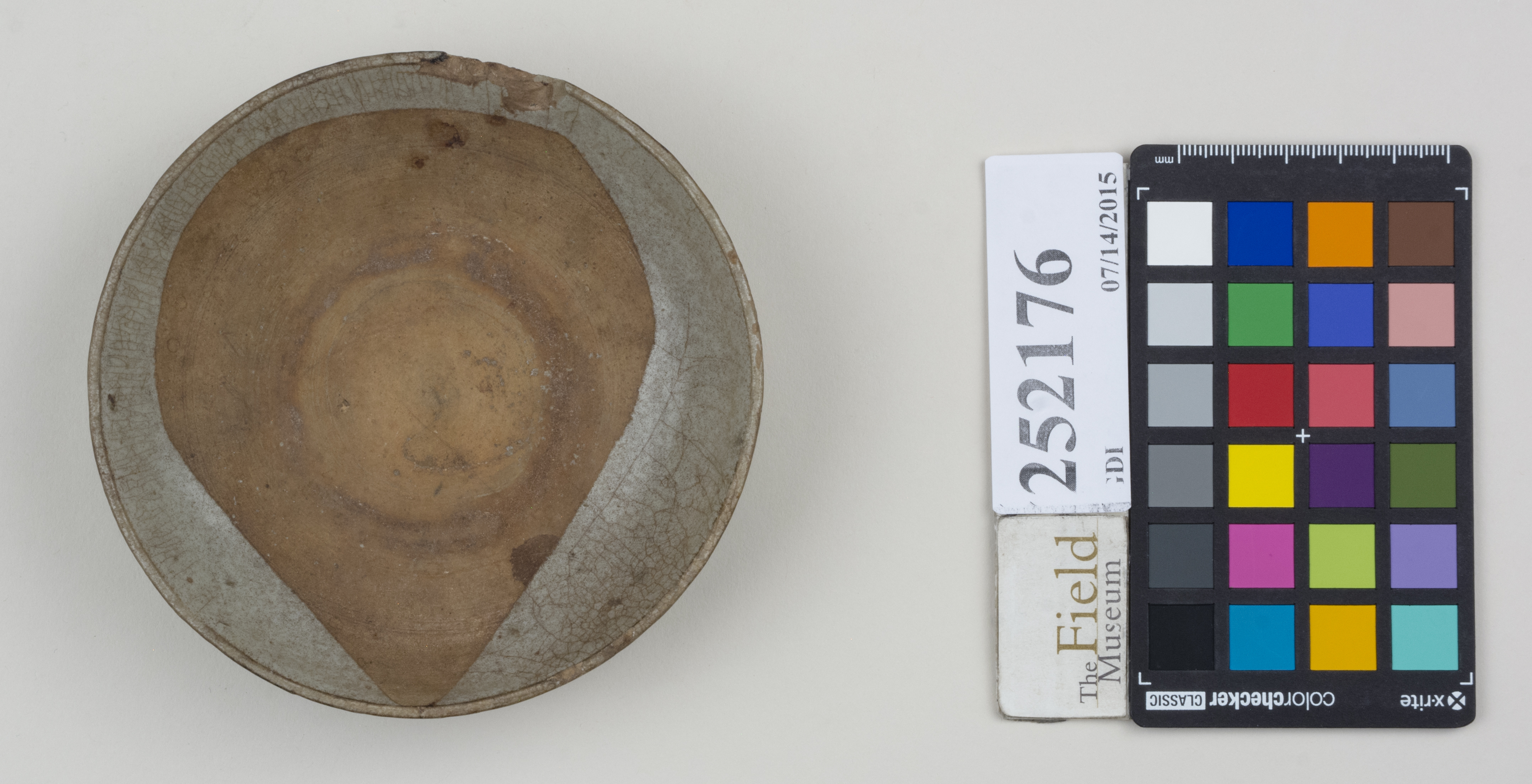 Top (c) Field Museum of Natural History - CC BY-NC 4.0