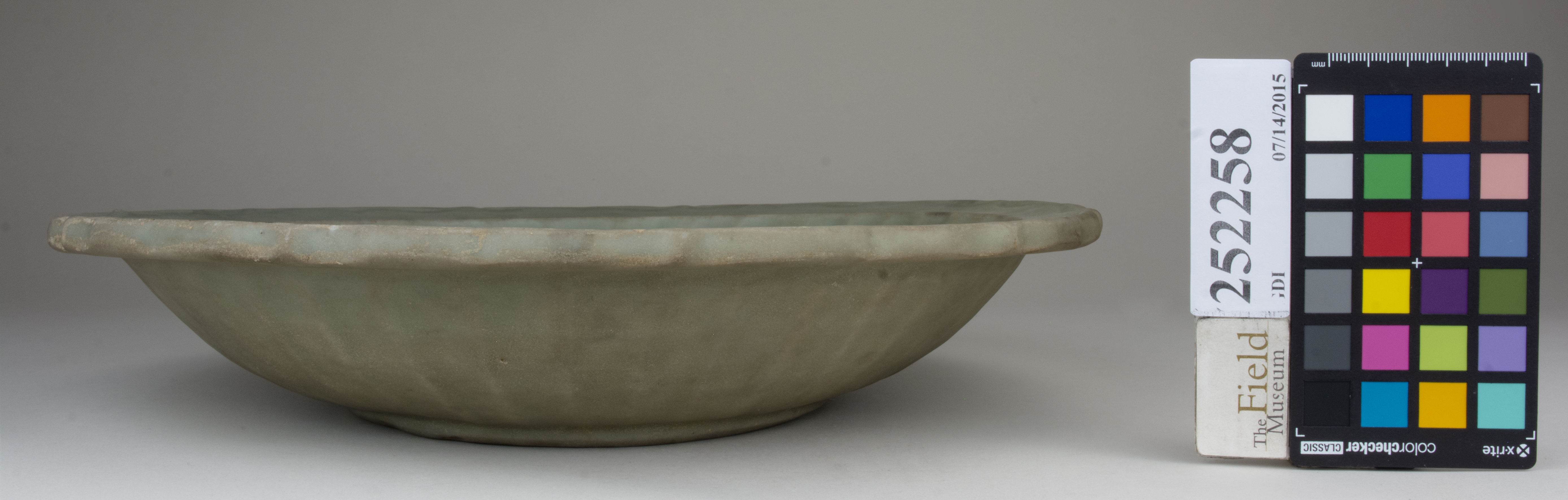 Front (c) Field Museum of Natural History - CC BY-NC 4.0