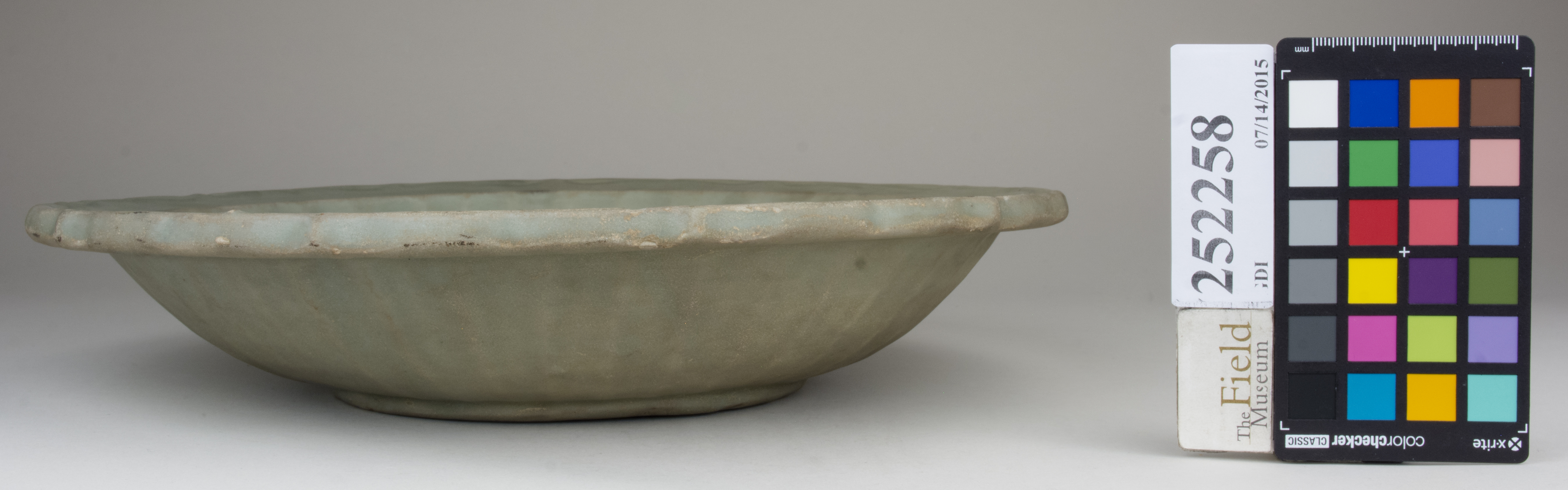 Right (c) Field Museum of Natural History - CC BY-NC 4.0