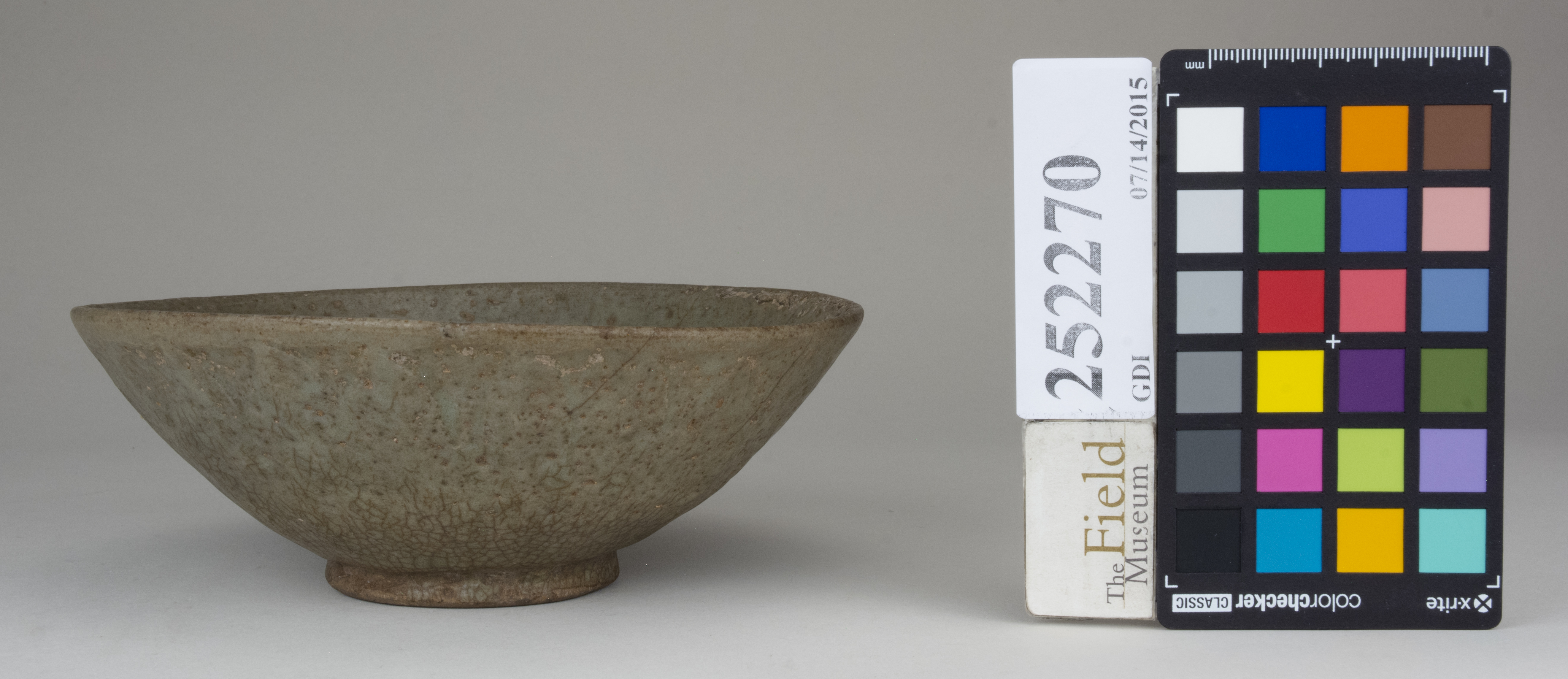 reference image, back (c) Field Museum of Natural History - CC BY-NC 4.0