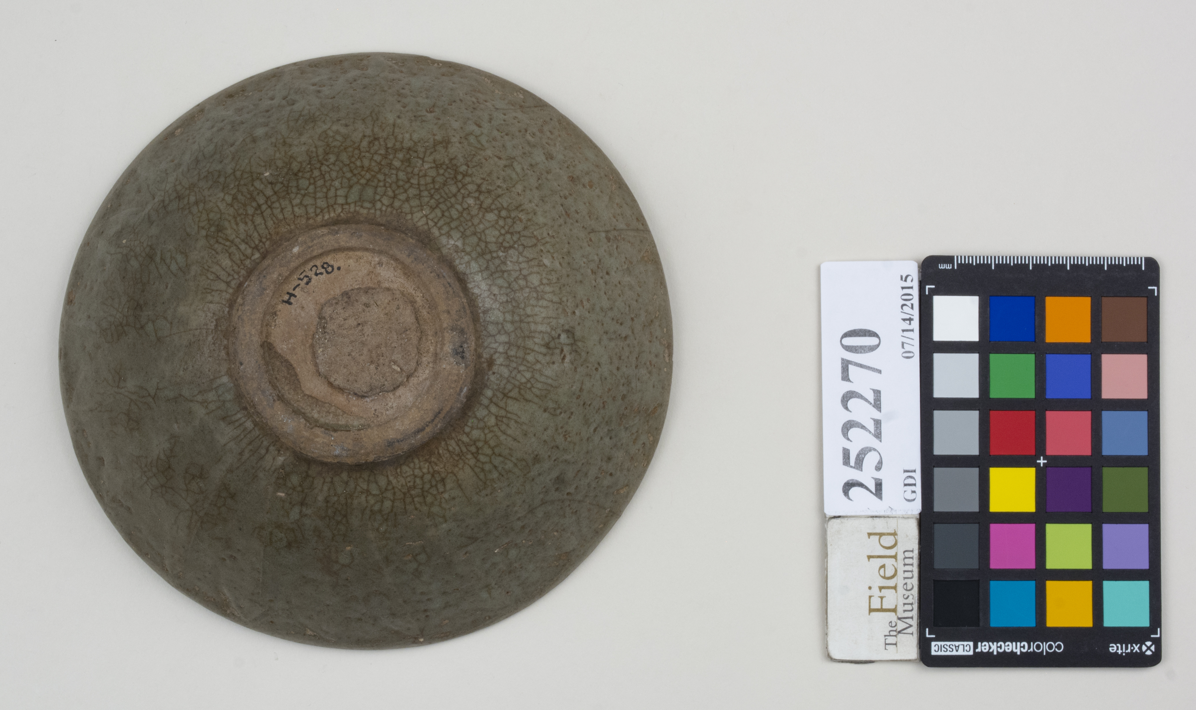 Bottom (c) Field Museum of Natural History - CC BY-NC 4.0