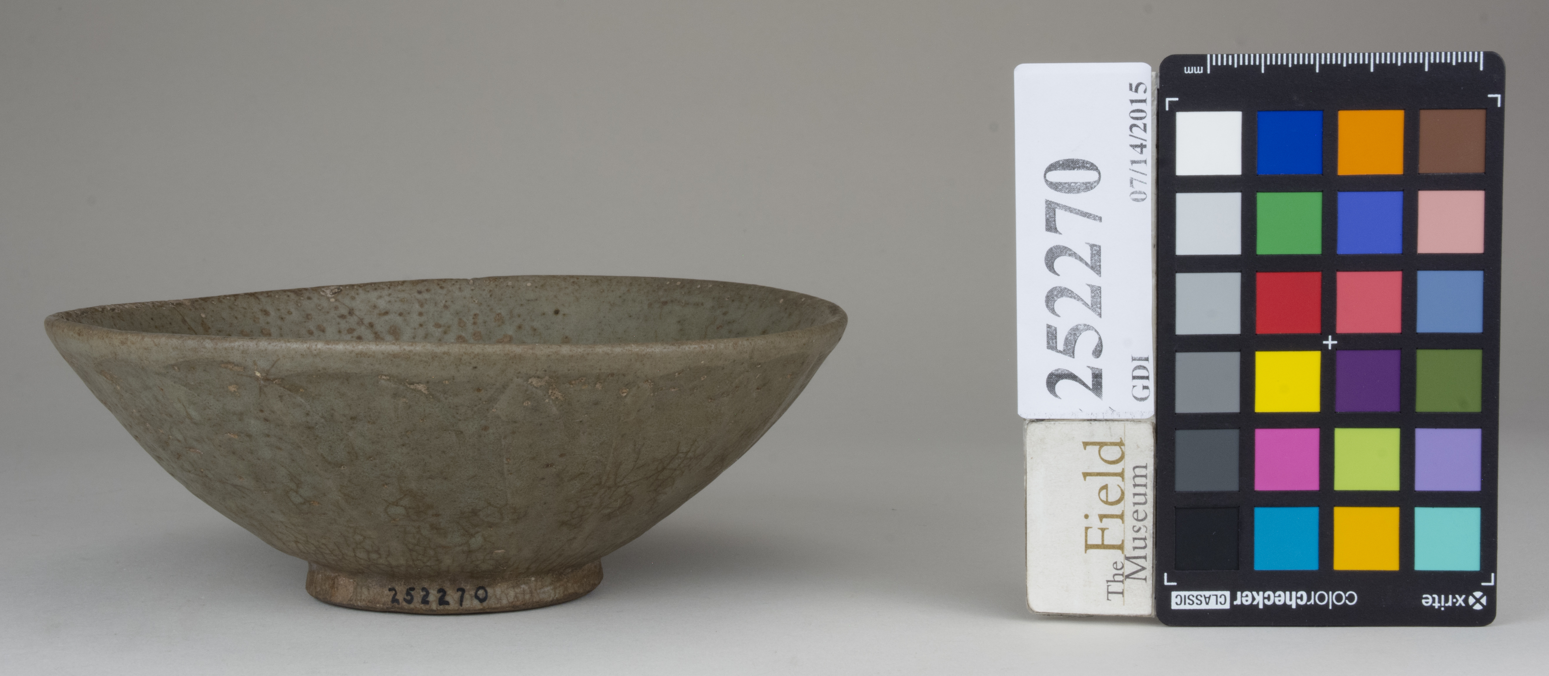 Front (c) Field Museum of Natural History - CC BY-NC 4.0