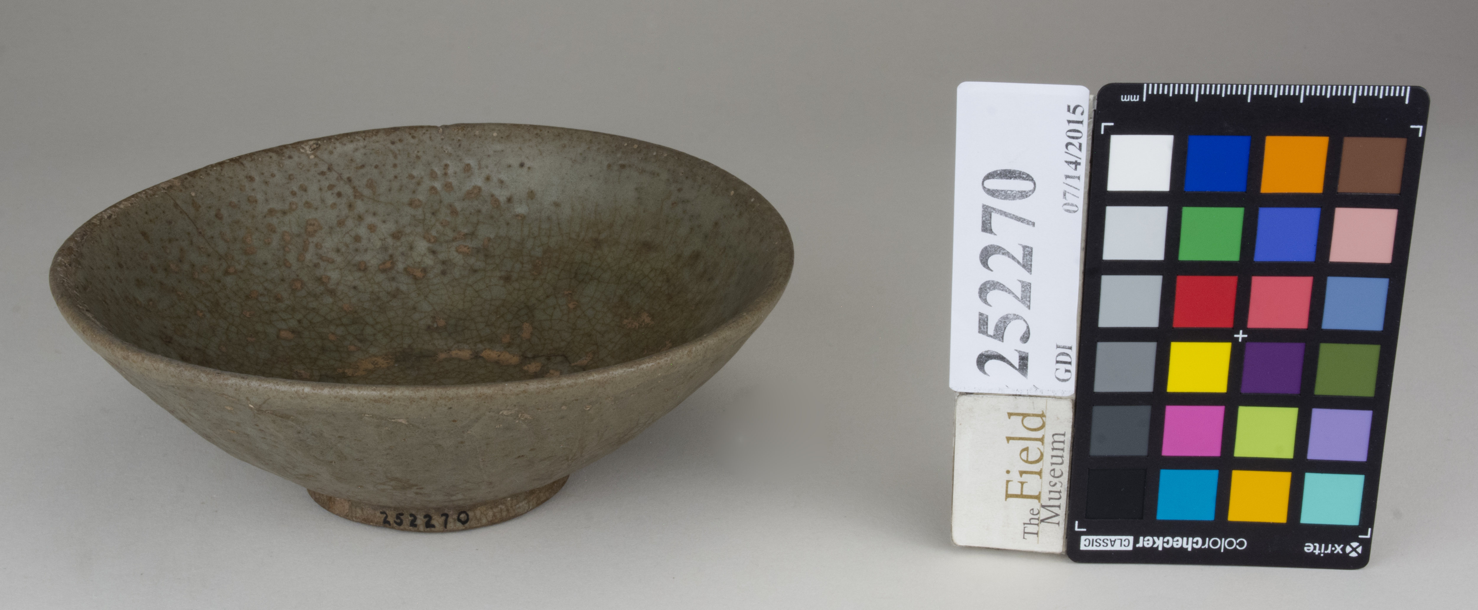 FrontAngle (c) Field Museum of Natural History - CC BY-NC 4.0