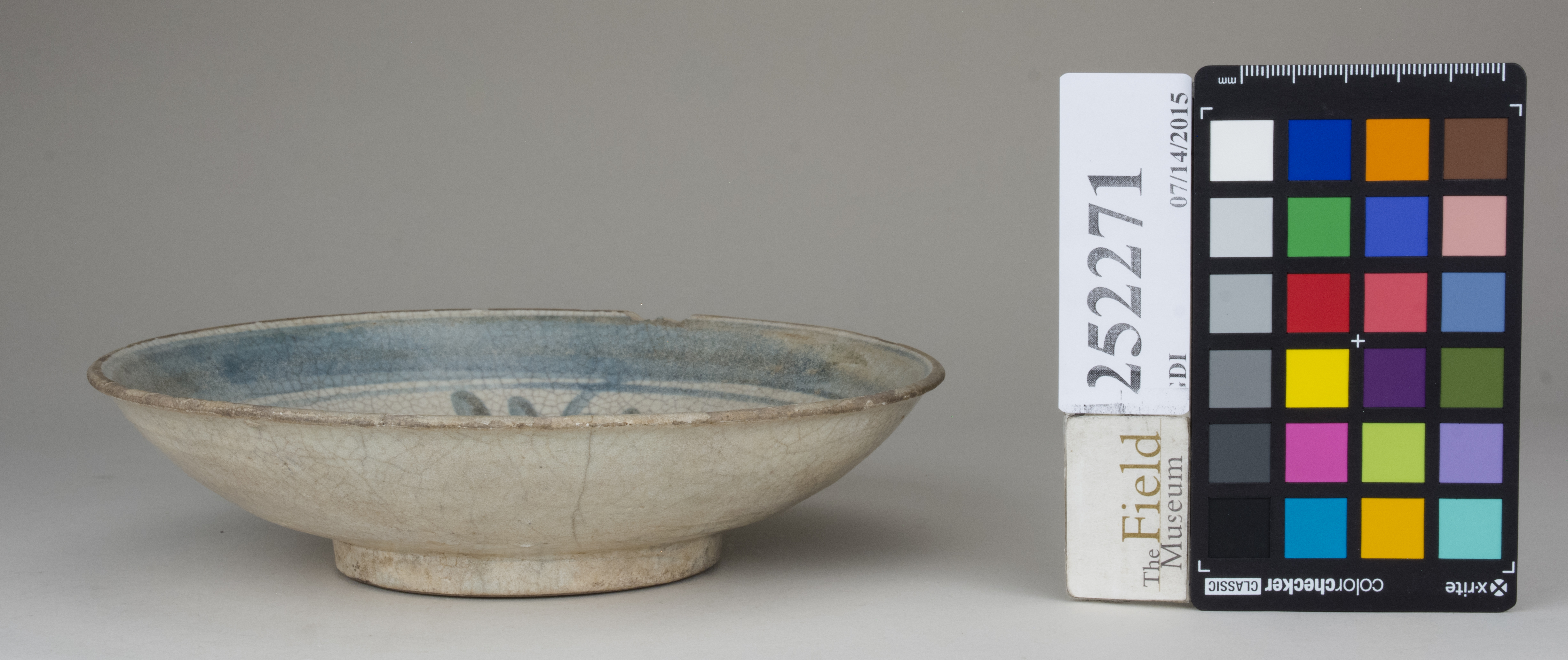 reference image, back (c) Field Museum of Natural History - CC BY-NC 4.0