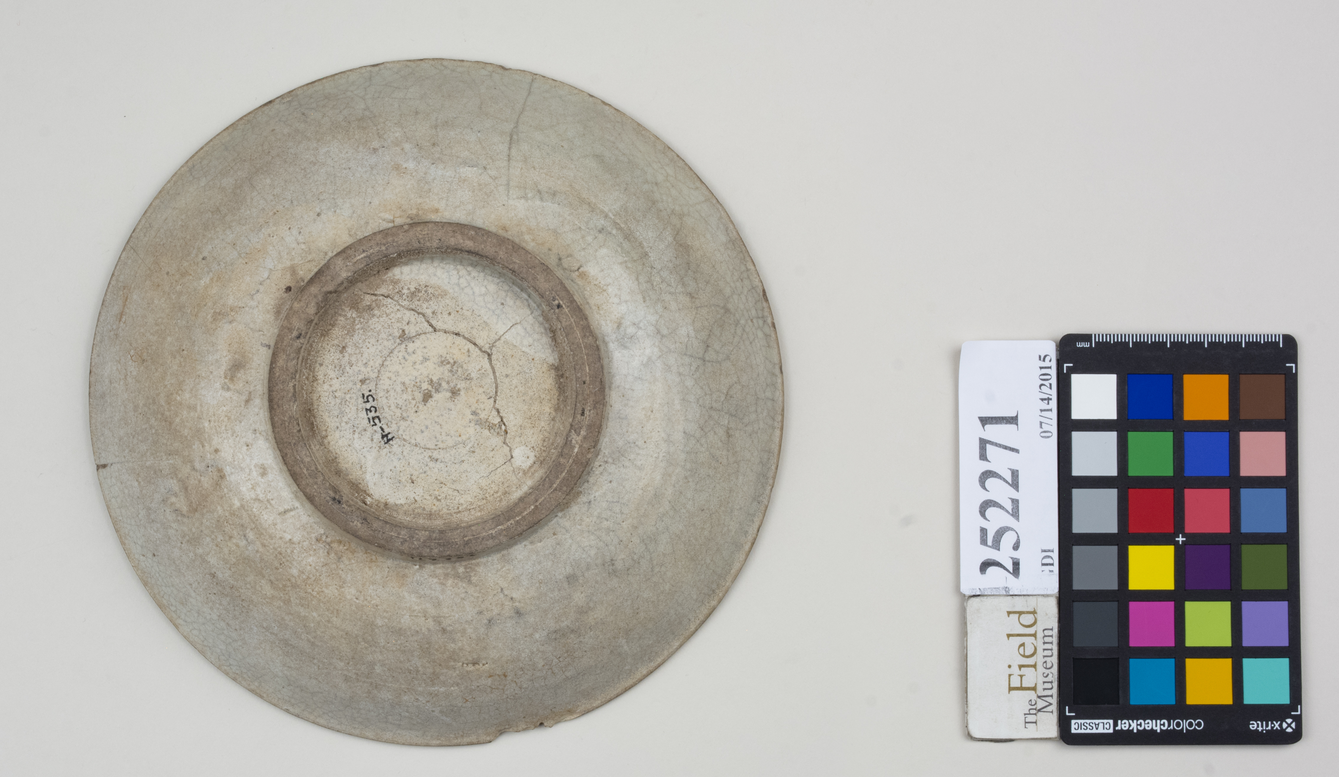 Bottom (c) Field Museum of Natural History - CC BY-NC 4.0