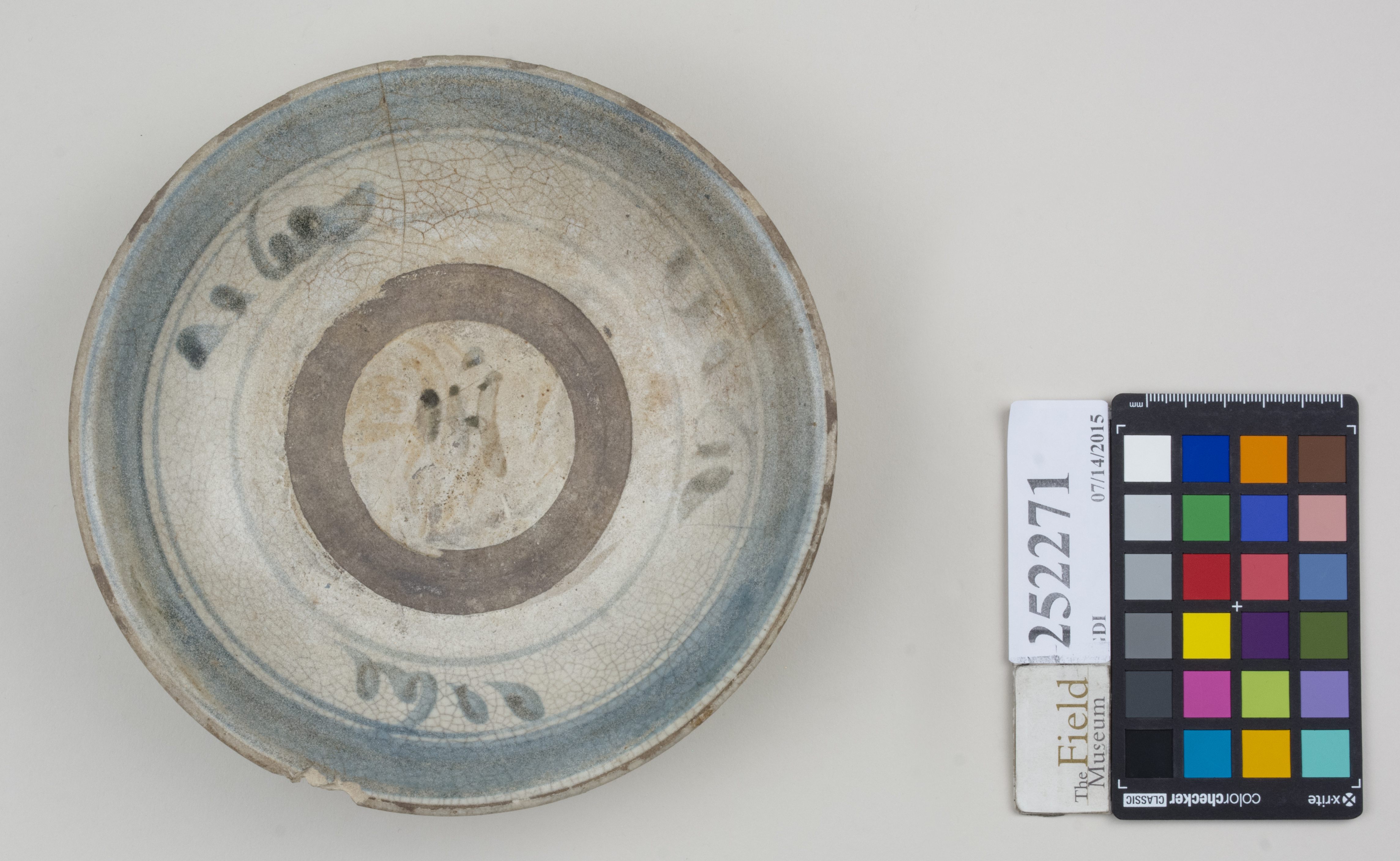 Top (c) Field Museum of Natural History - CC BY-NC 4.0