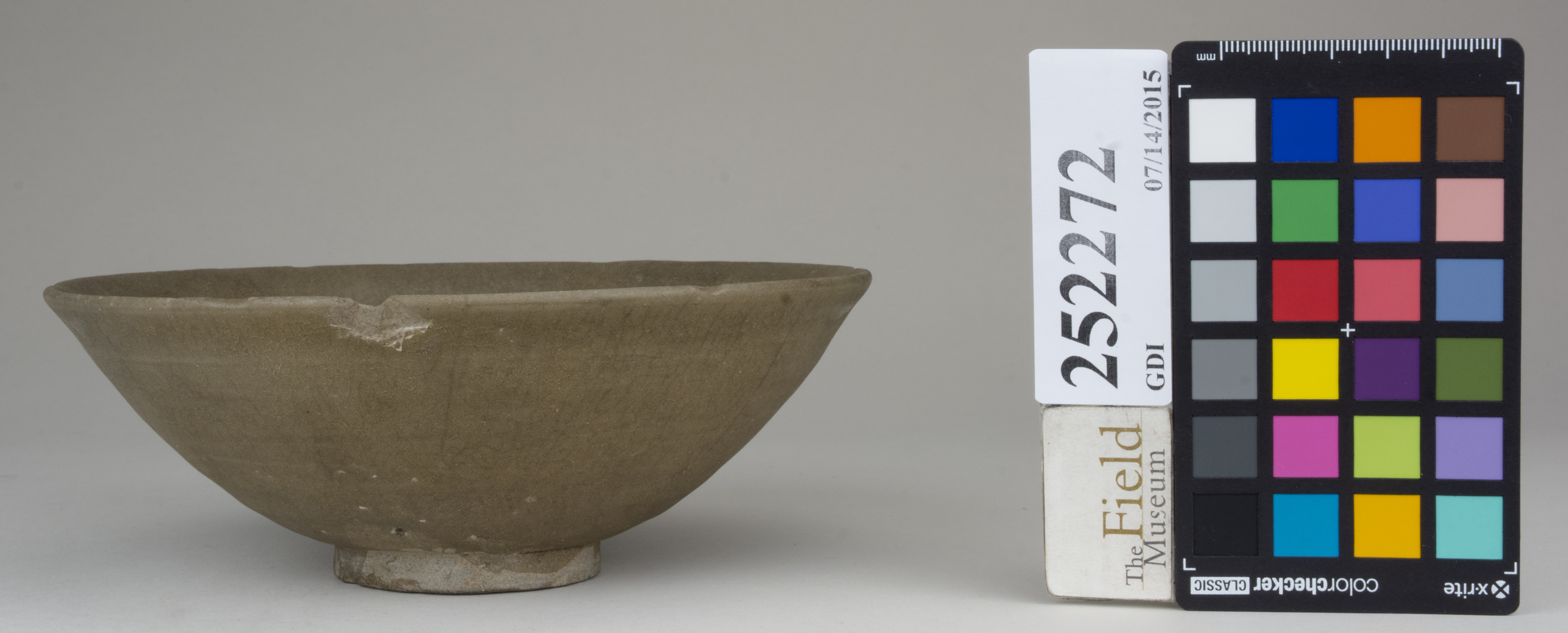 reference image, back (c) Field Museum of Natural History - CC BY-NC 4.0