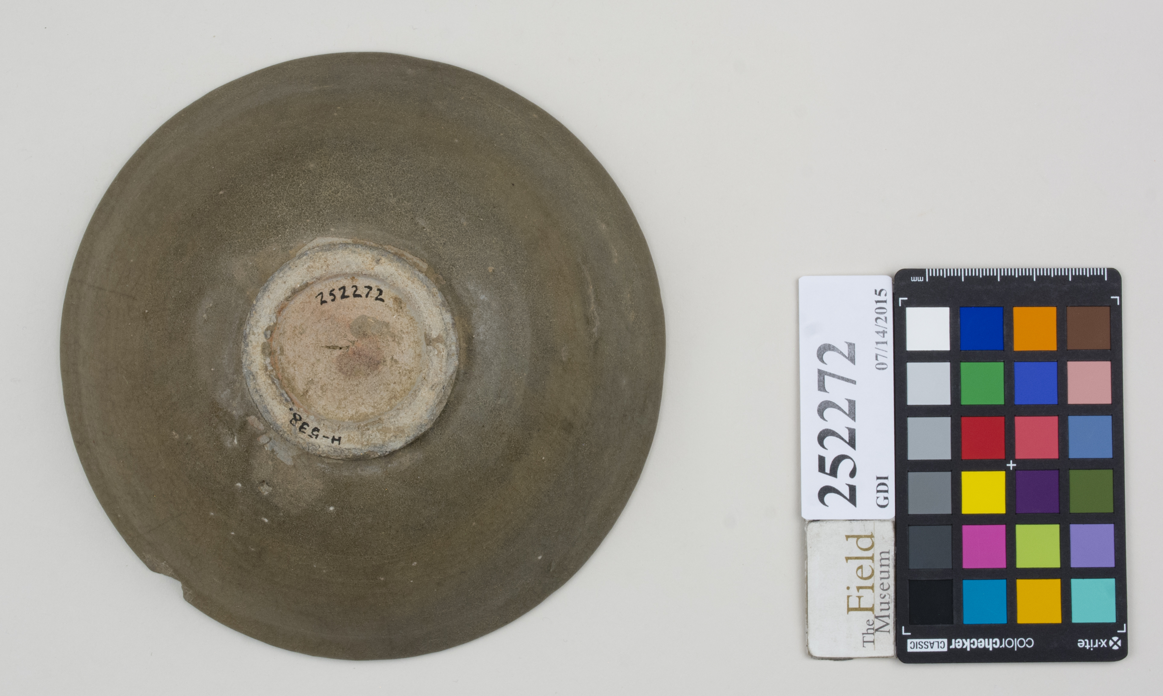 Bottom (c) Field Museum of Natural History - CC BY-NC 4.0