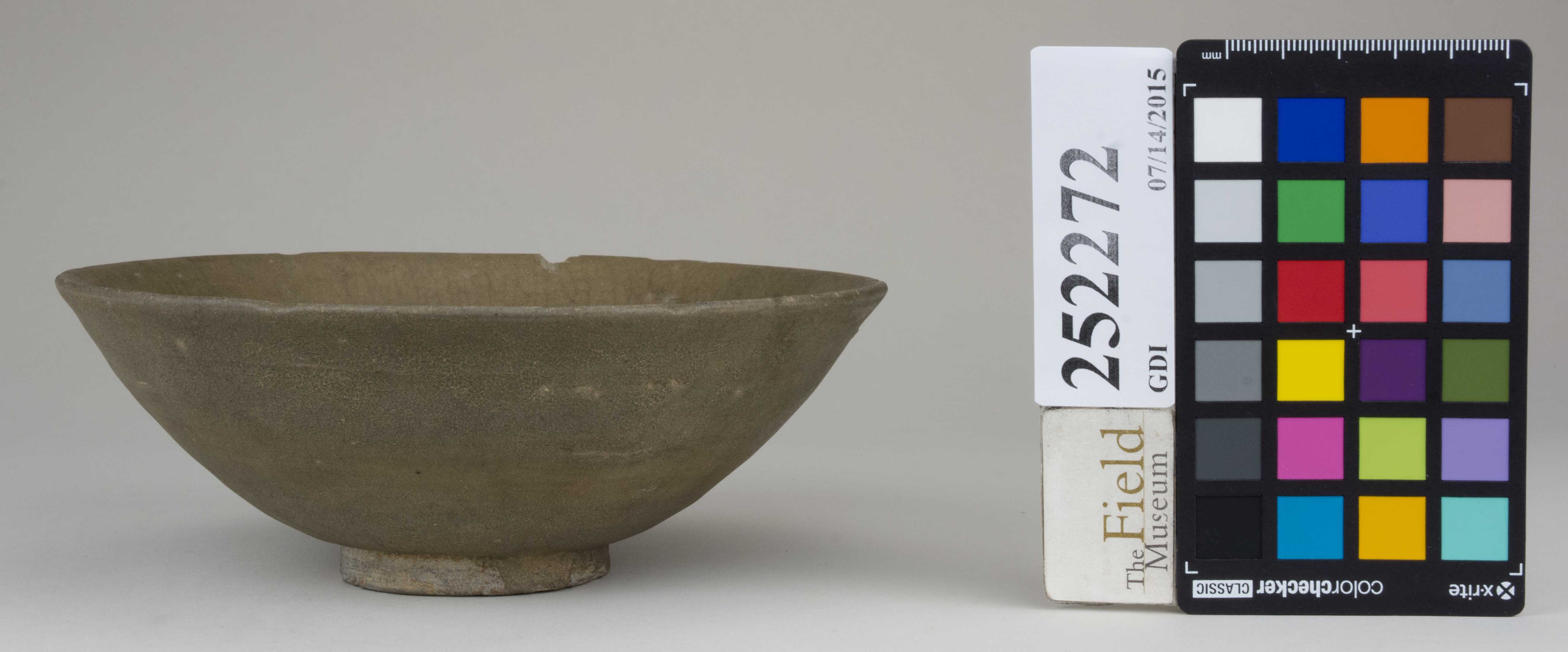 Front (c) Field Museum of Natural History - CC BY-NC 4.0