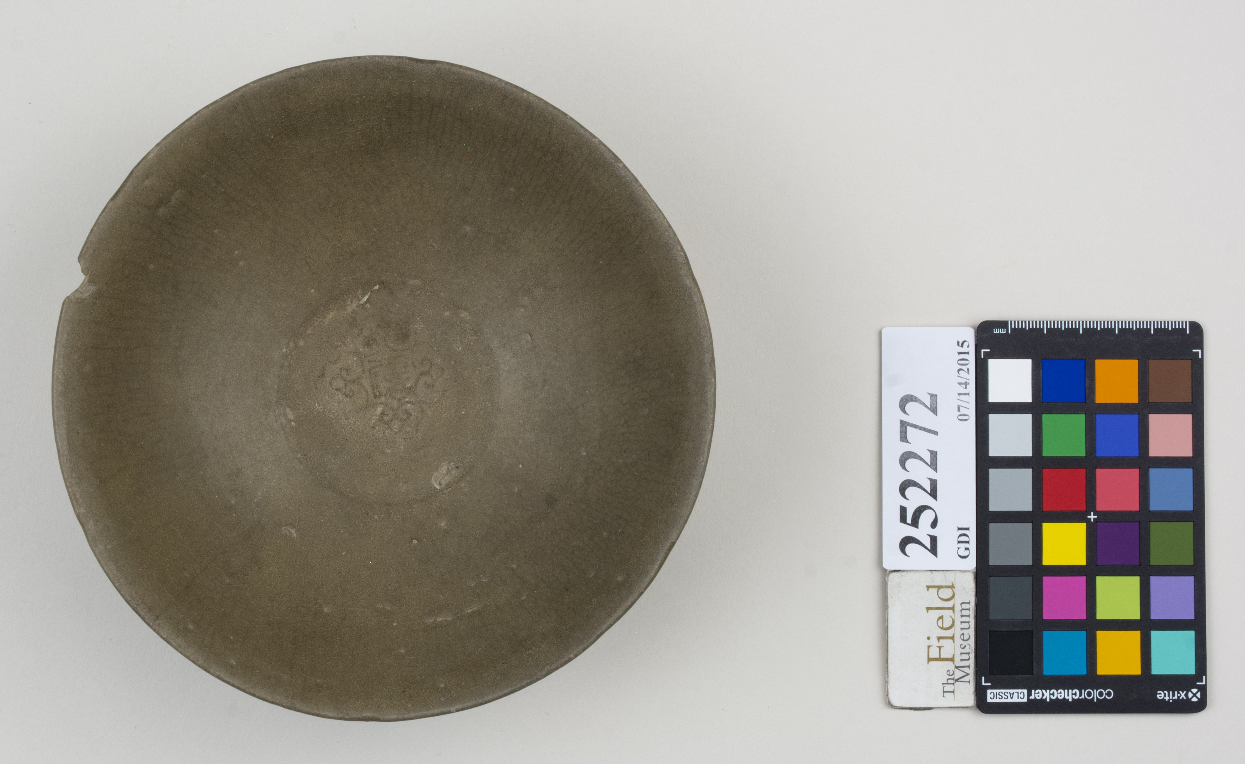 Top (c) Field Museum of Natural History - CC BY-NC 4.0