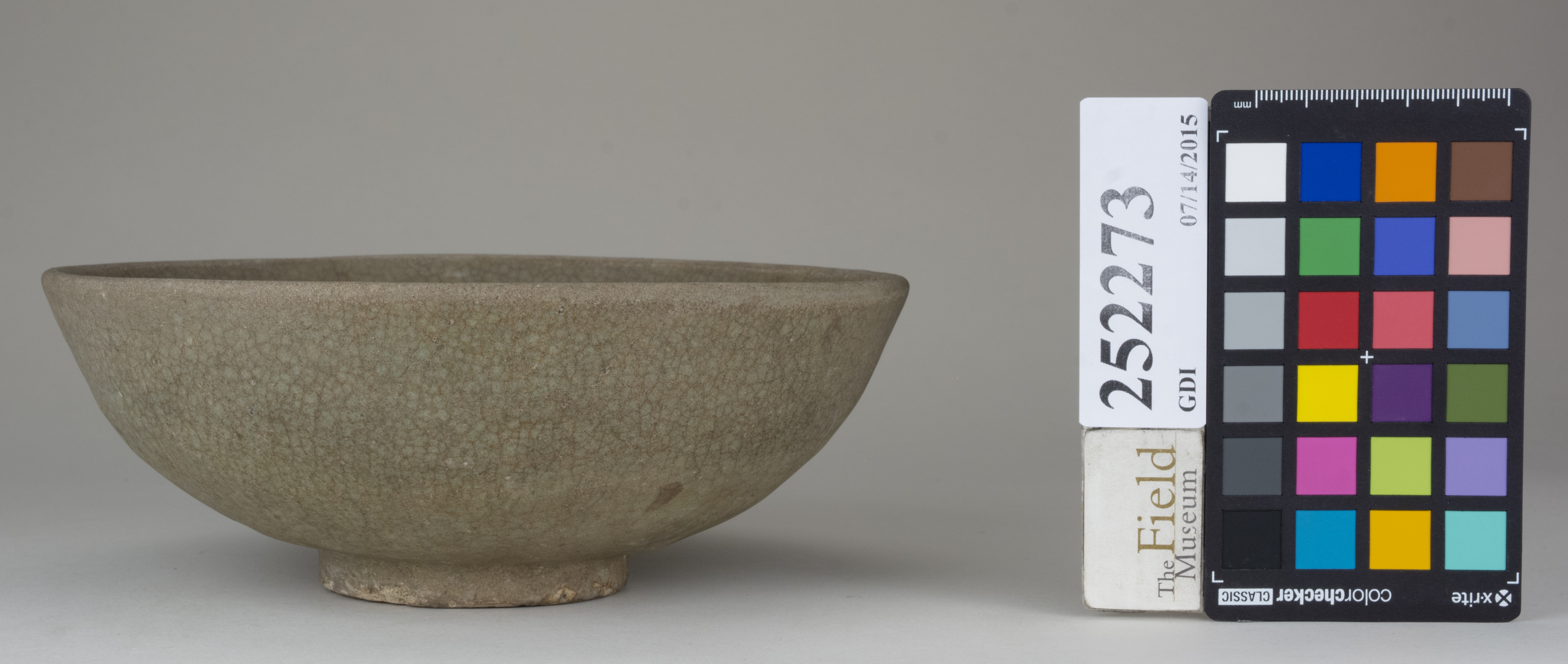 reference image, back (c) Field Museum of Natural History - CC BY-NC 4.0