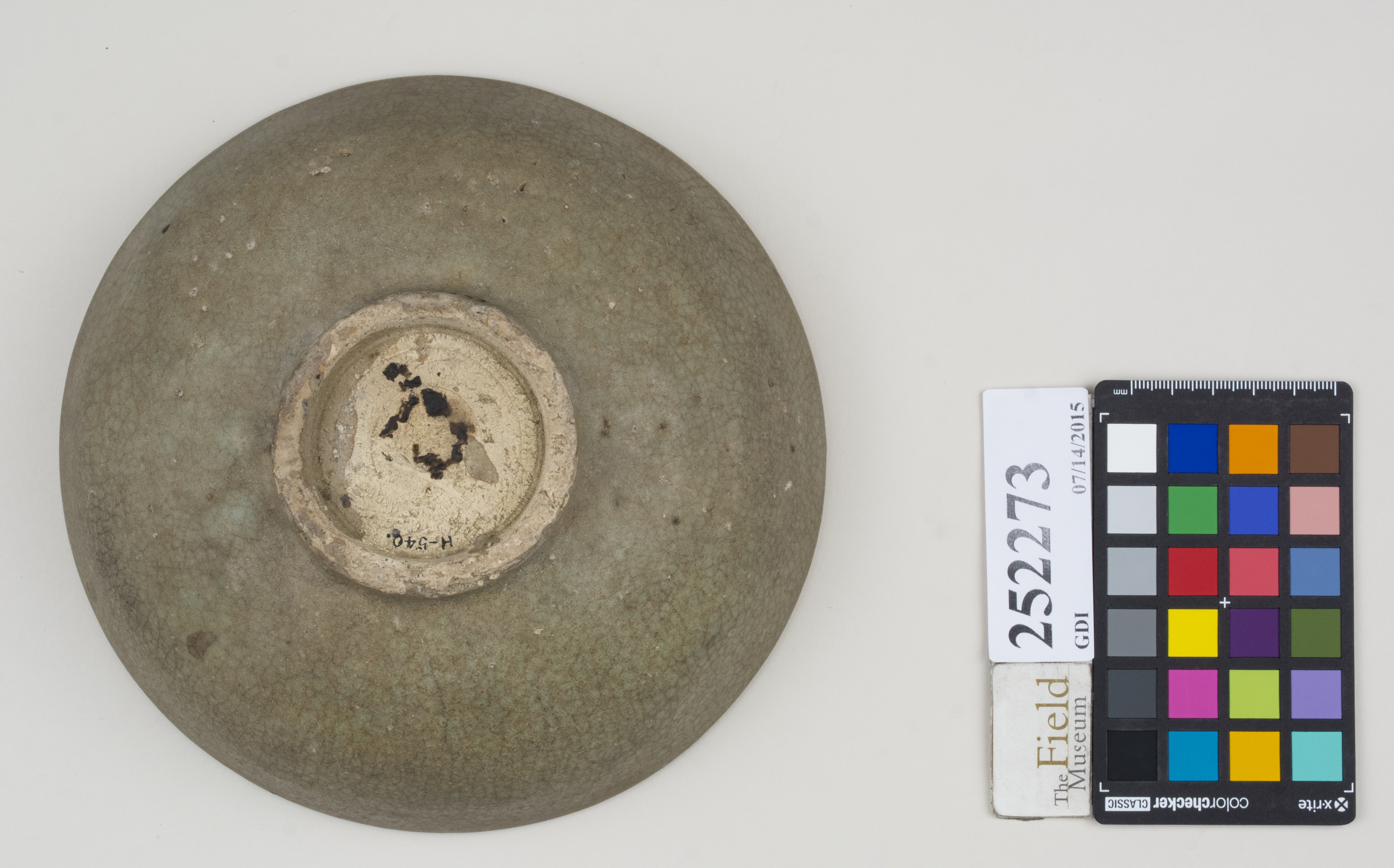 Bottom (c) Field Museum of Natural History - CC BY-NC 4.0