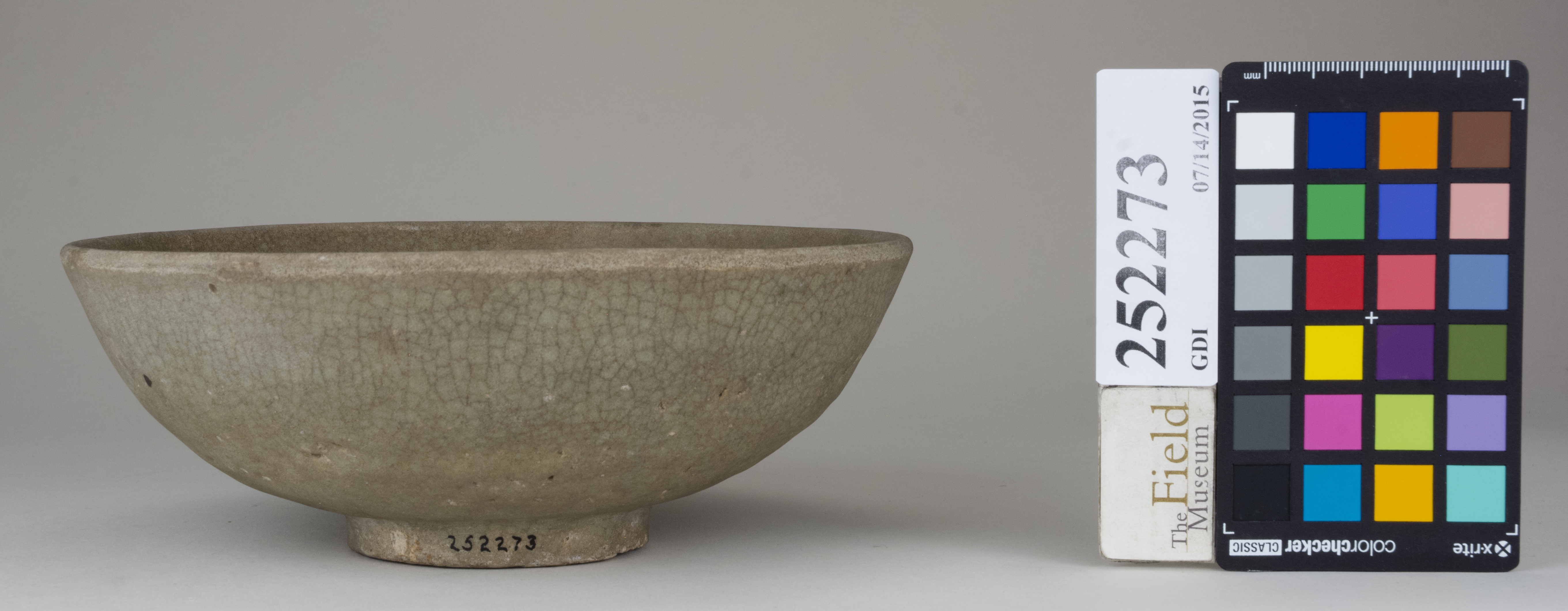 Front (c) Field Museum of Natural History - CC BY-NC 4.0