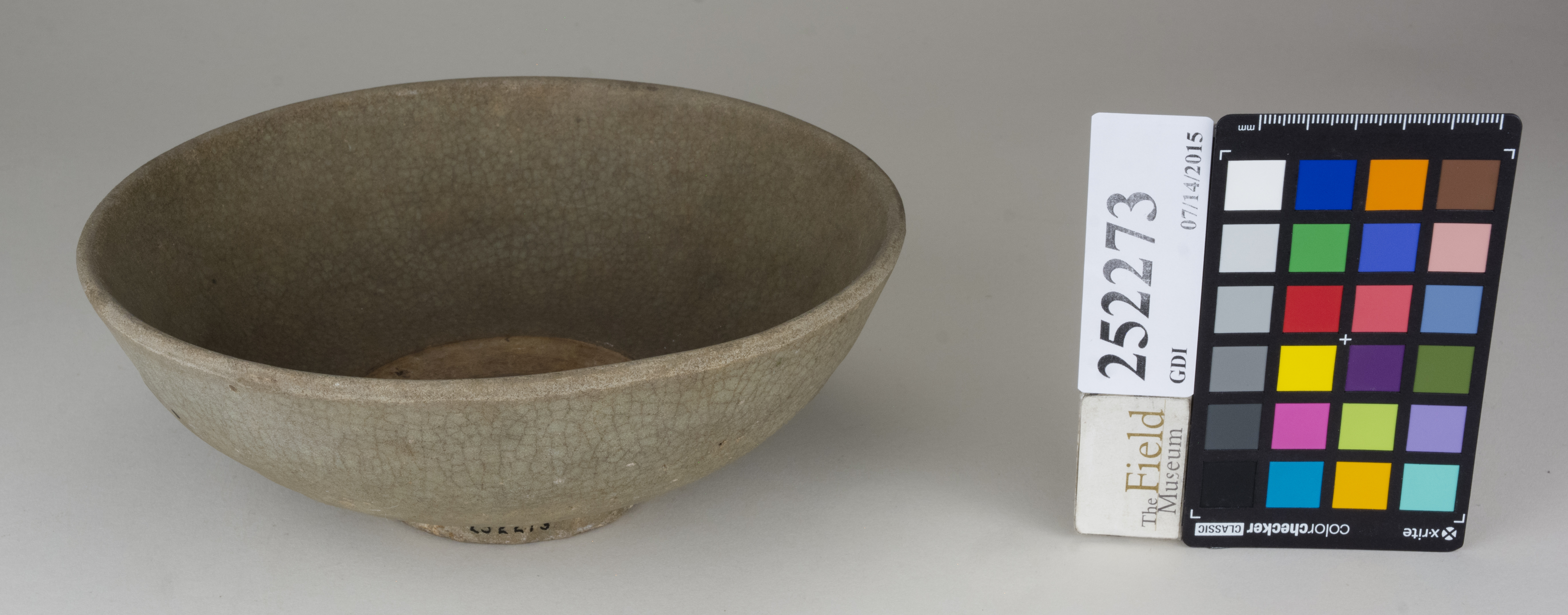 FrontAngle (c) Field Museum of Natural History - CC BY-NC 4.0