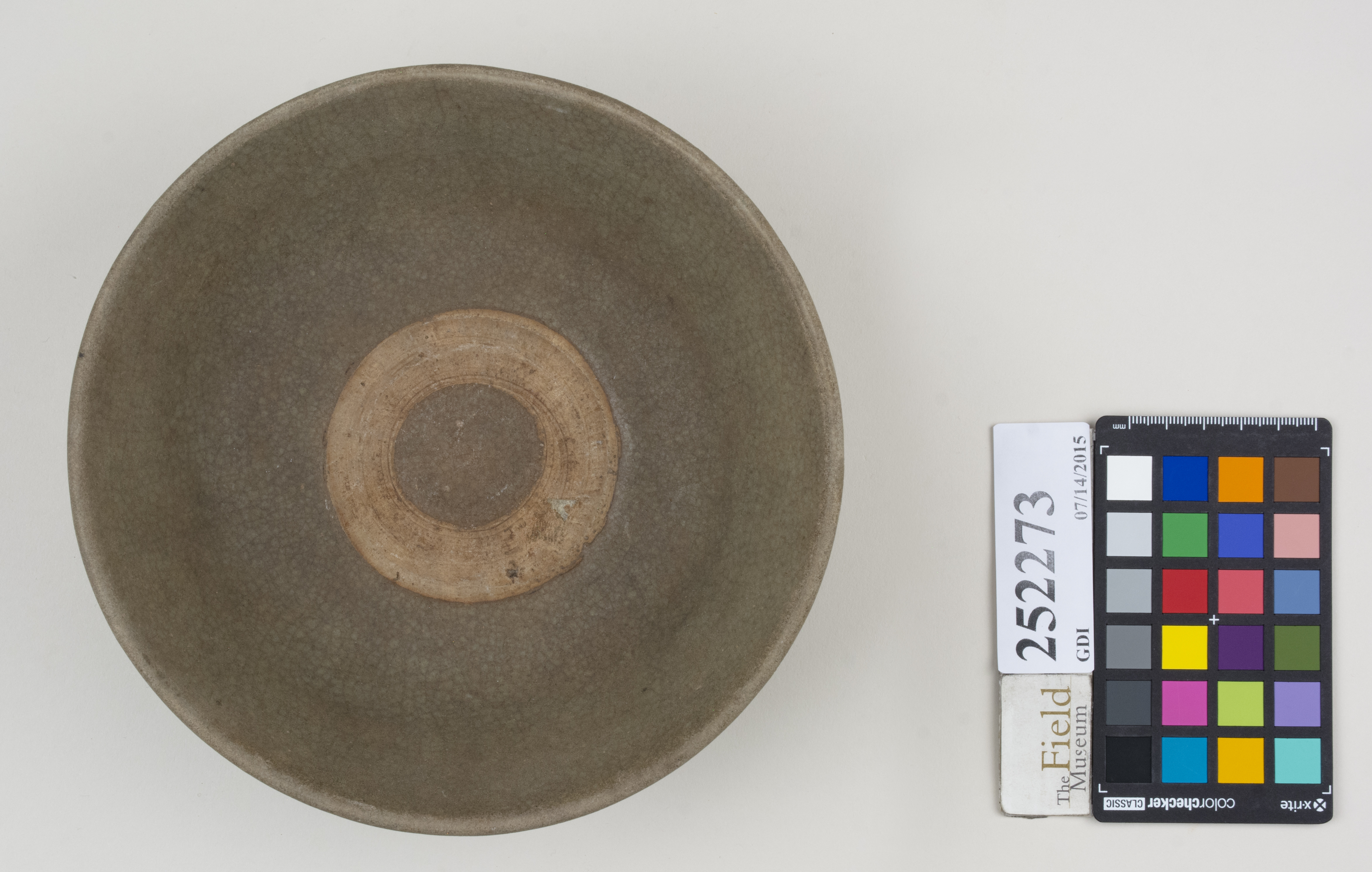 Top (c) Field Museum of Natural History - CC BY-NC 4.0