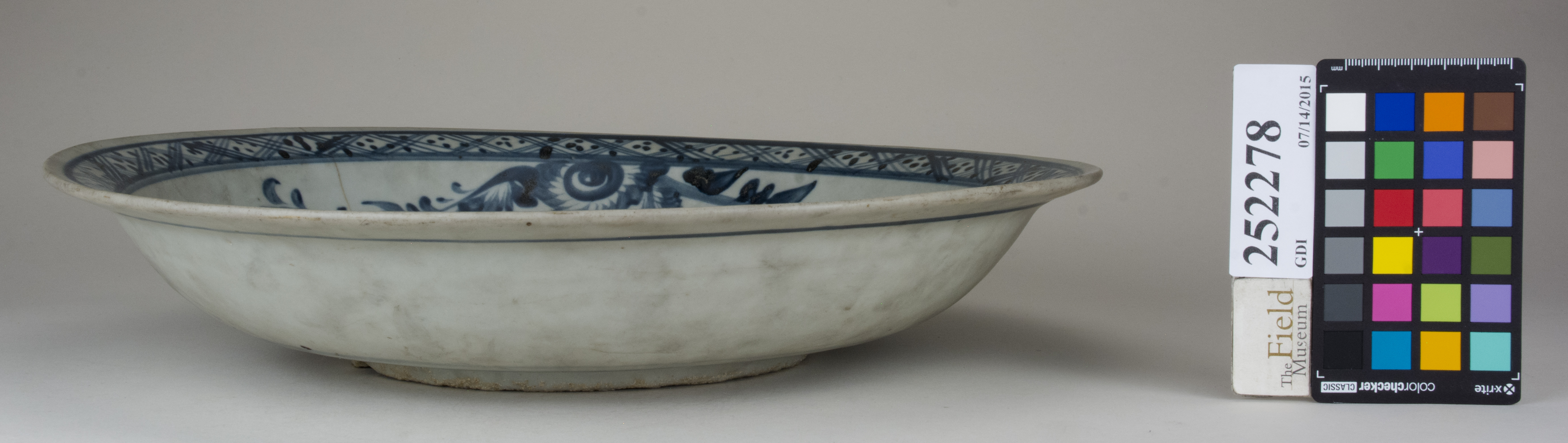 reference image, back (c) Field Museum of Natural History - CC BY-NC 4.0