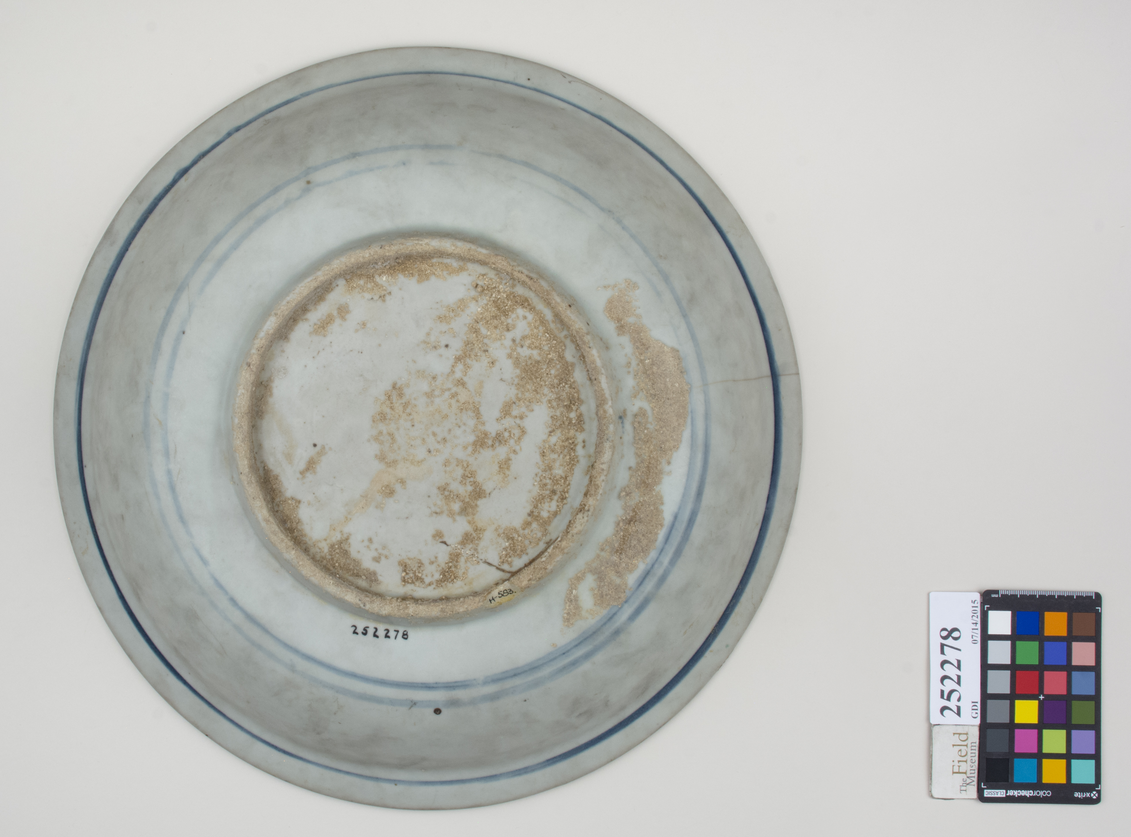 Bottom (c) Field Museum of Natural History - CC BY-NC 4.0