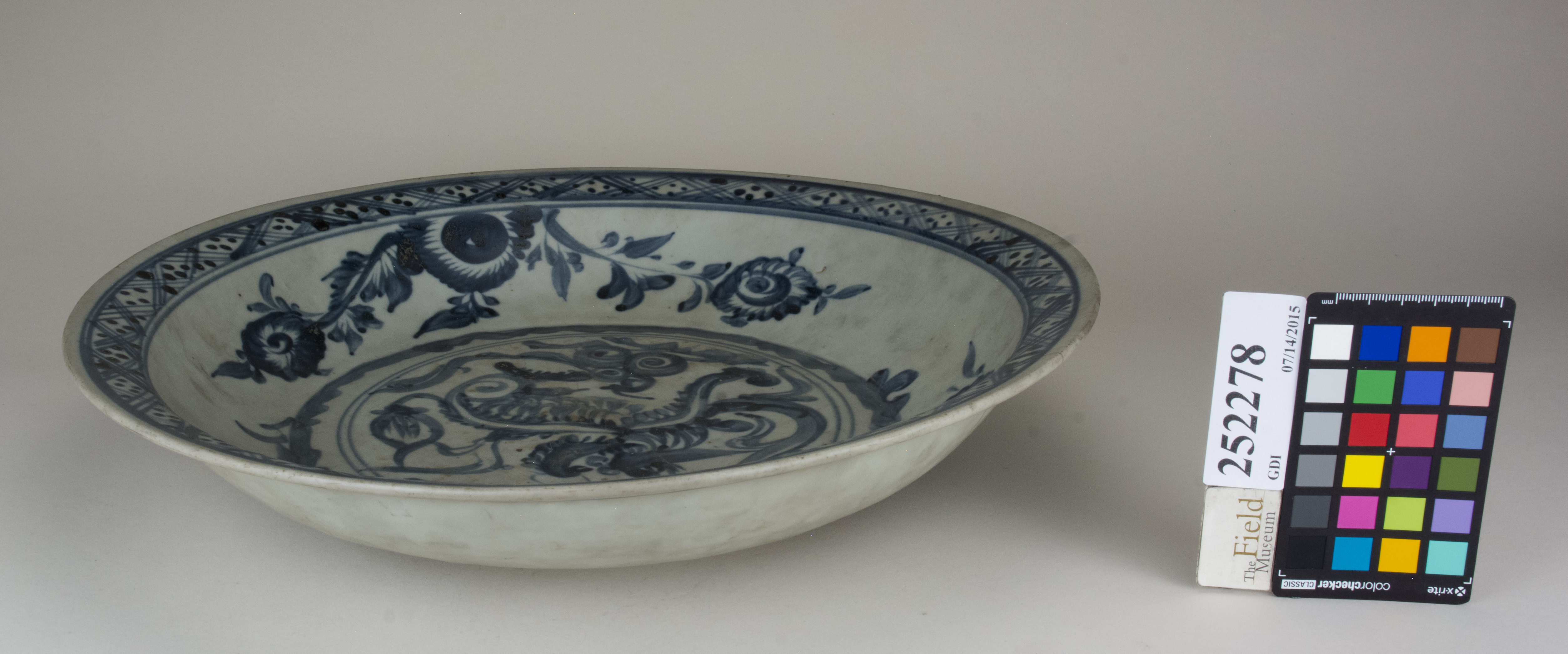 FrontAngle (c) Field Museum of Natural History - CC BY-NC 4.0