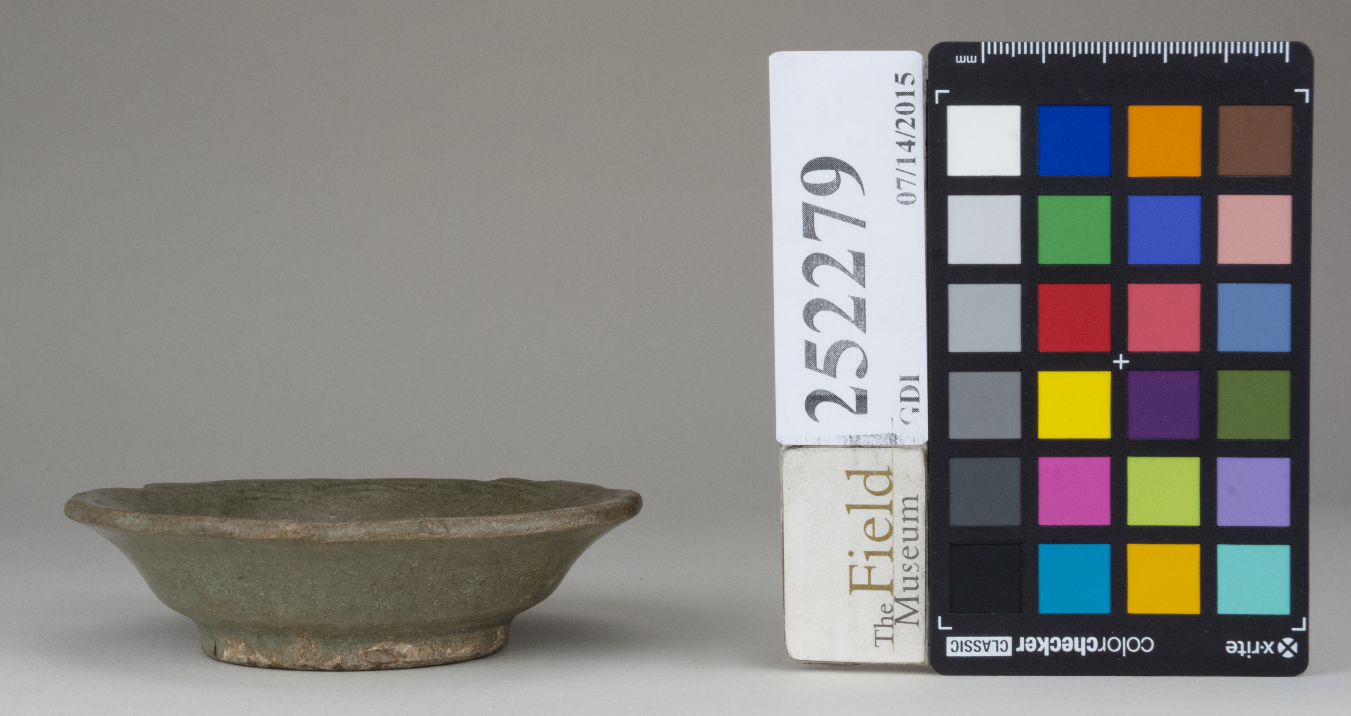 reference image, back (c) Field Museum of Natural History - CC BY-NC 4.0