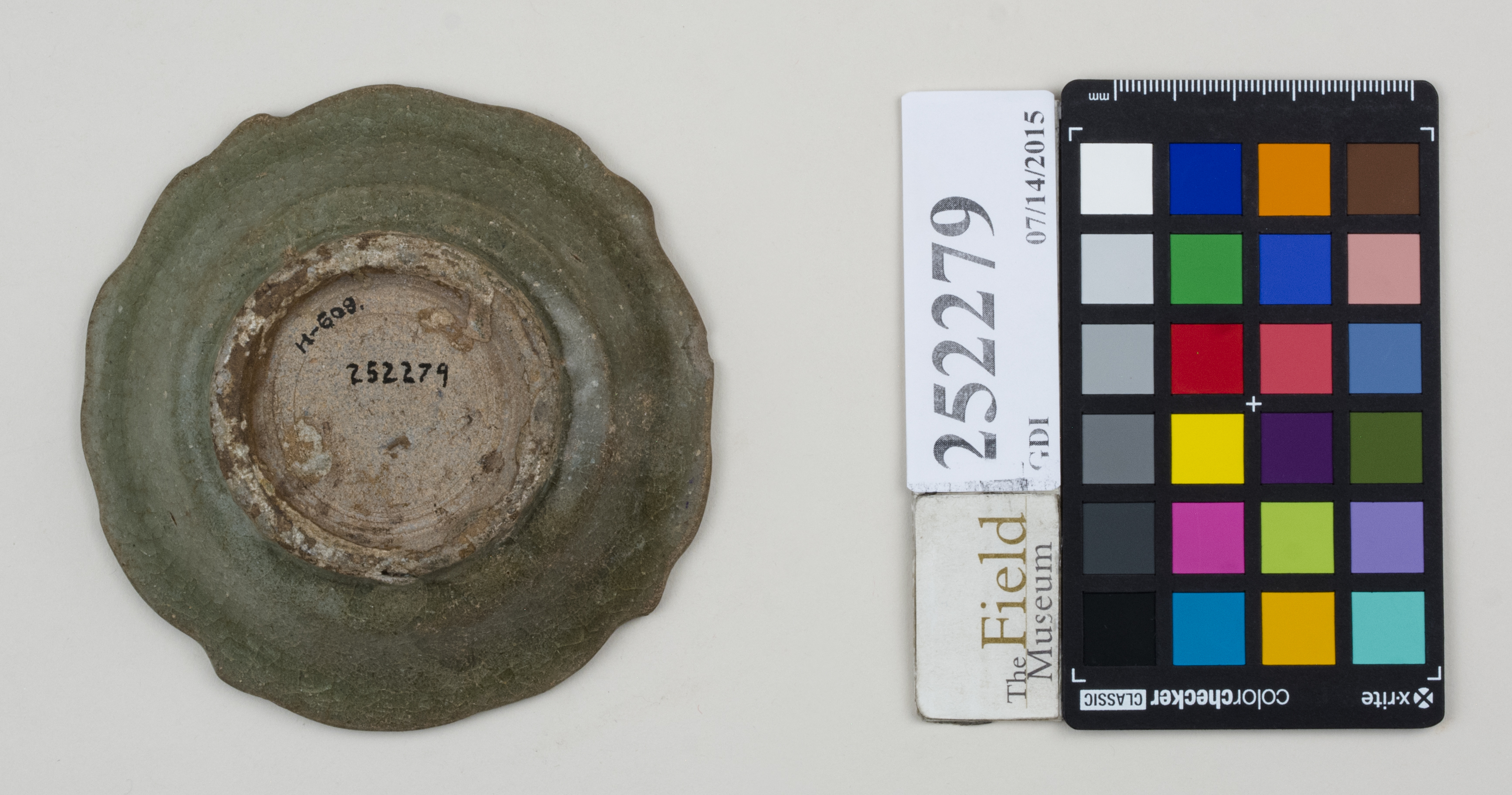 Bottom (c) Field Museum of Natural History - CC BY-NC 4.0