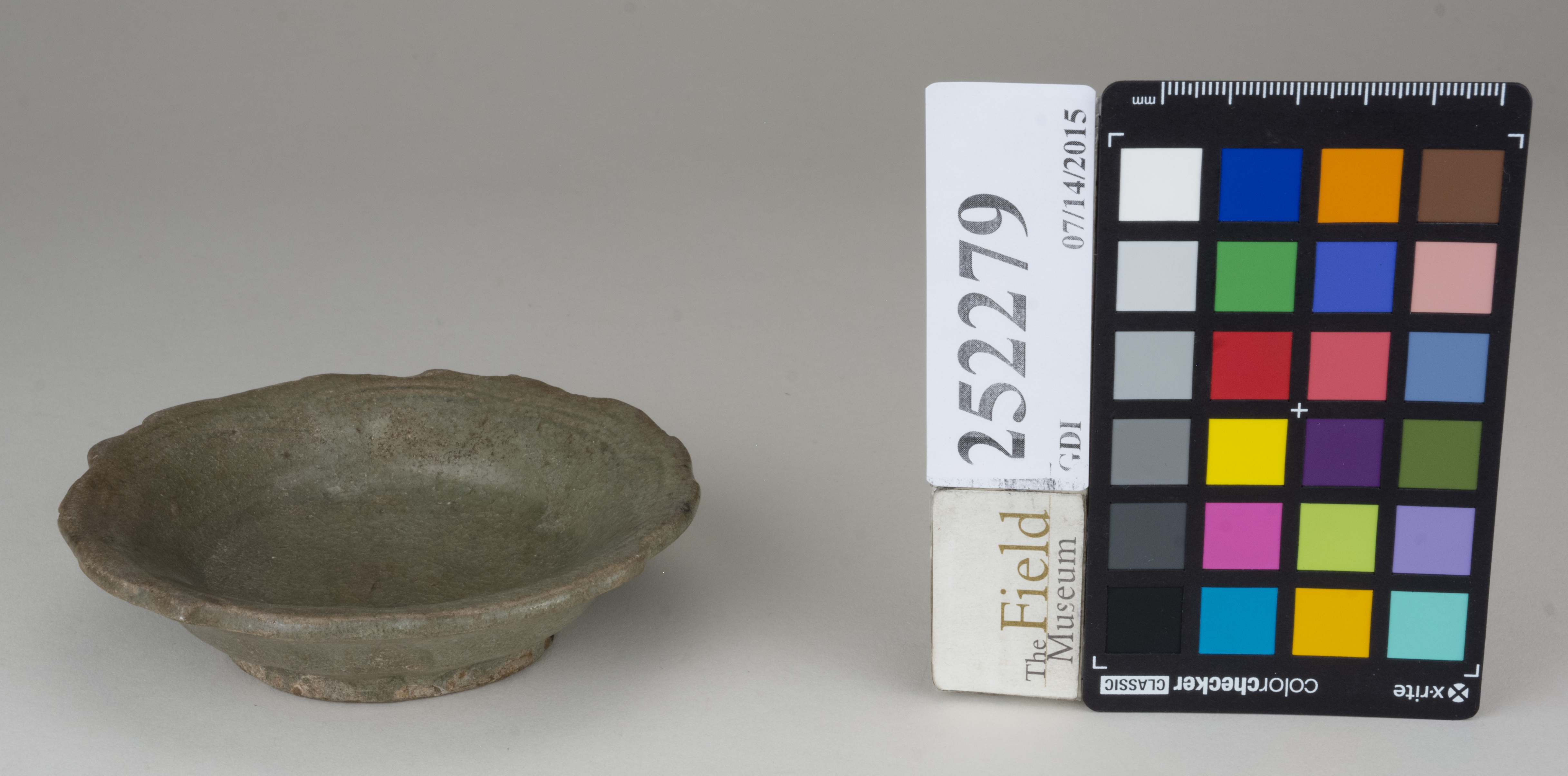 FrontAngle (c) Field Museum of Natural History - CC BY-NC 4.0