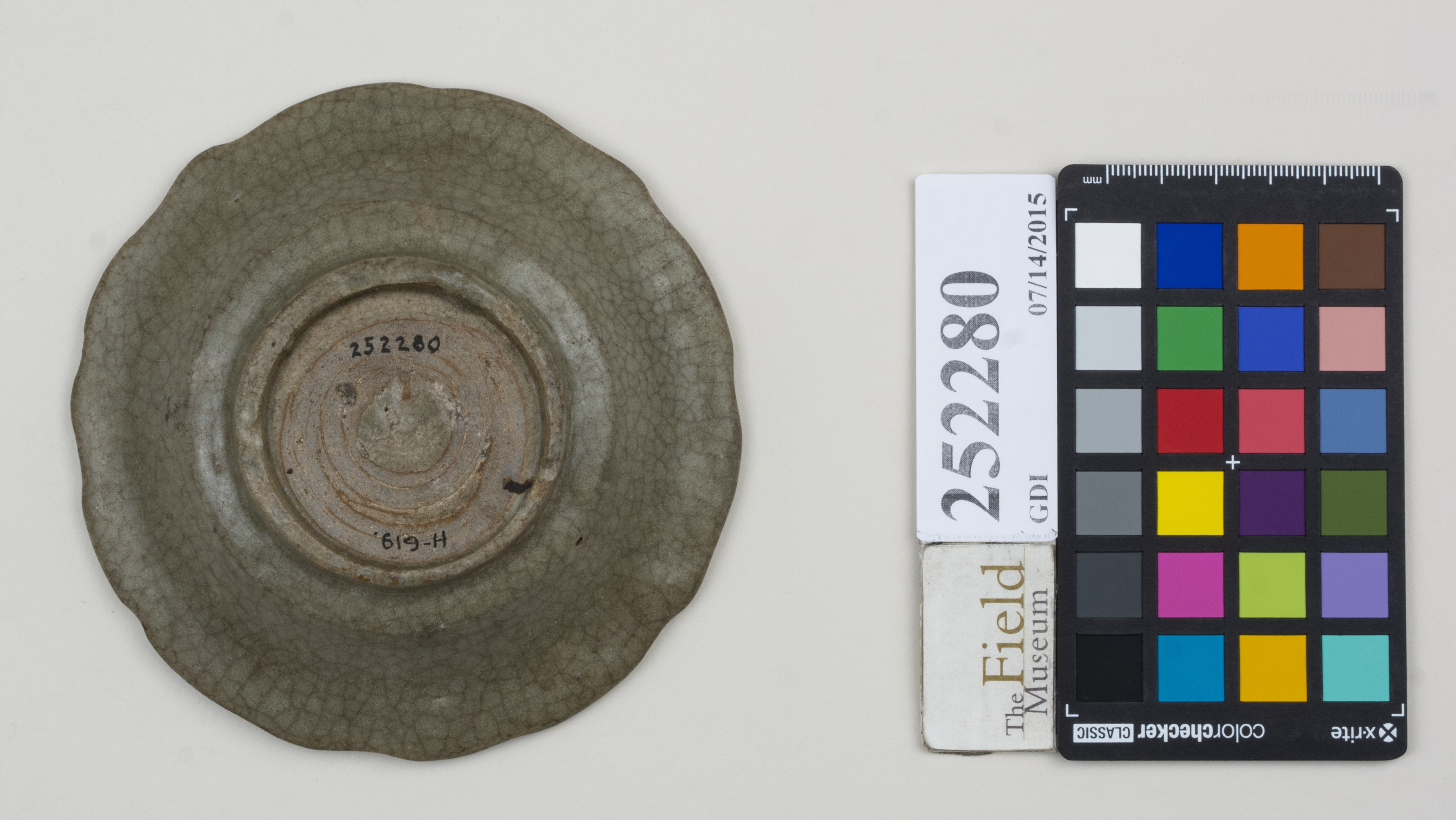 Bottom (c) Field Museum of Natural History - CC BY-NC 4.0