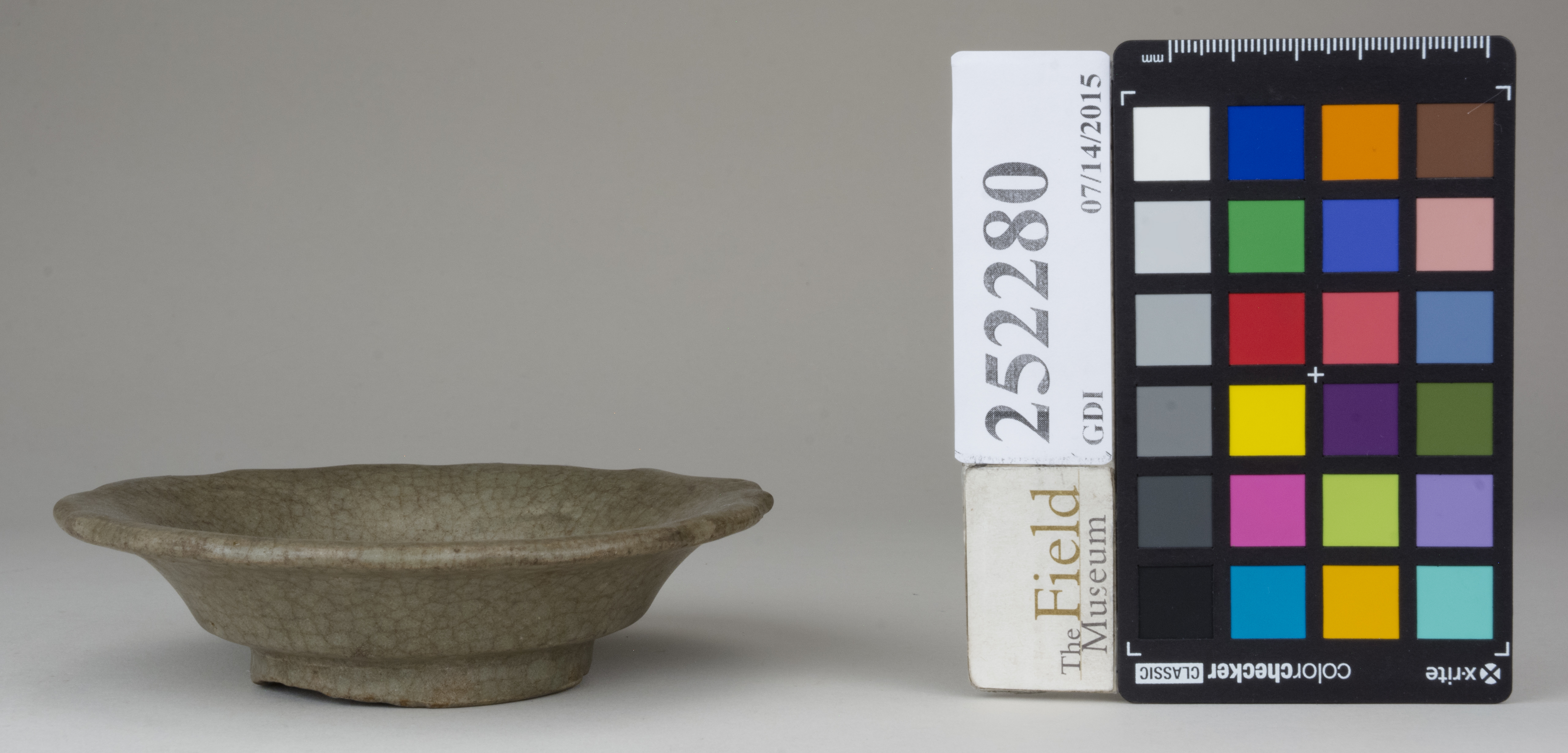 Front (c) Field Museum of Natural History - CC BY-NC 4.0