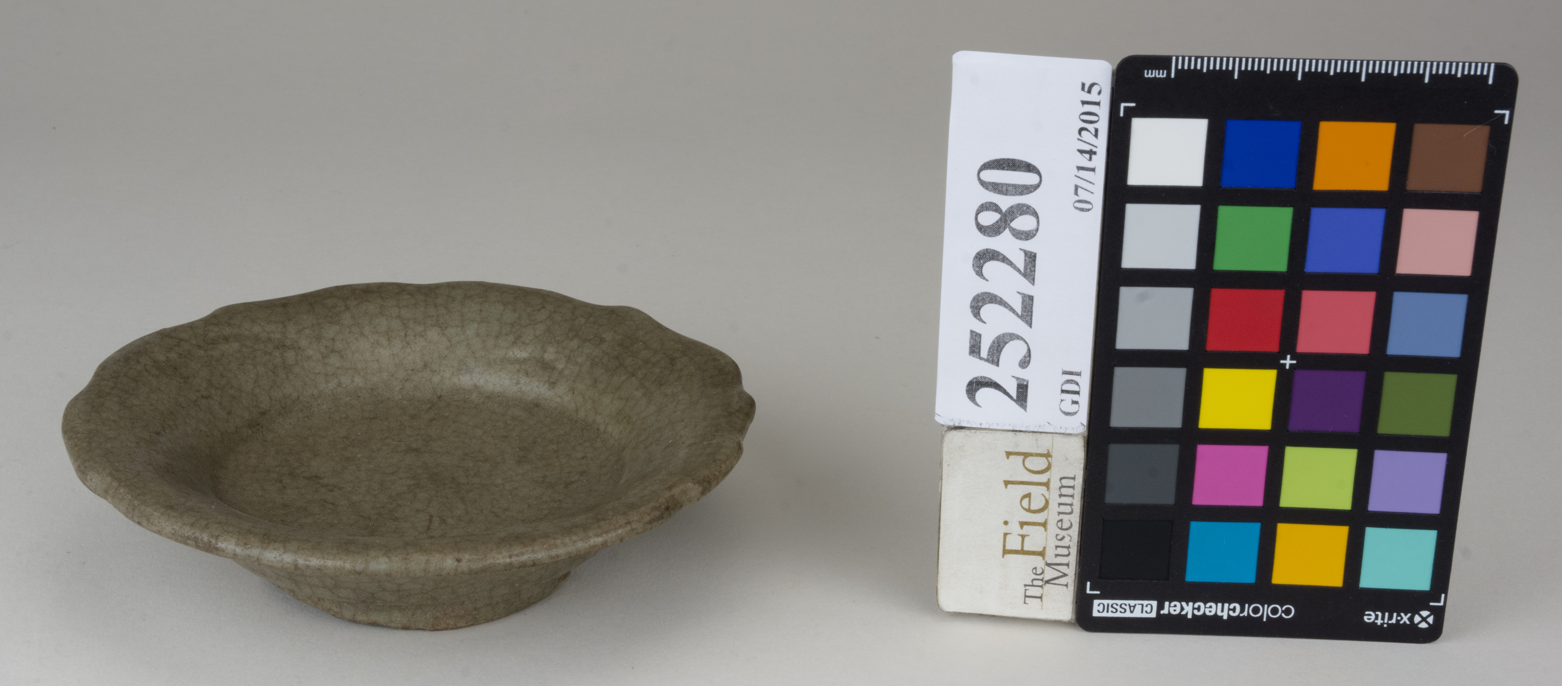 FrontAngle (c) Field Museum of Natural History - CC BY-NC 4.0