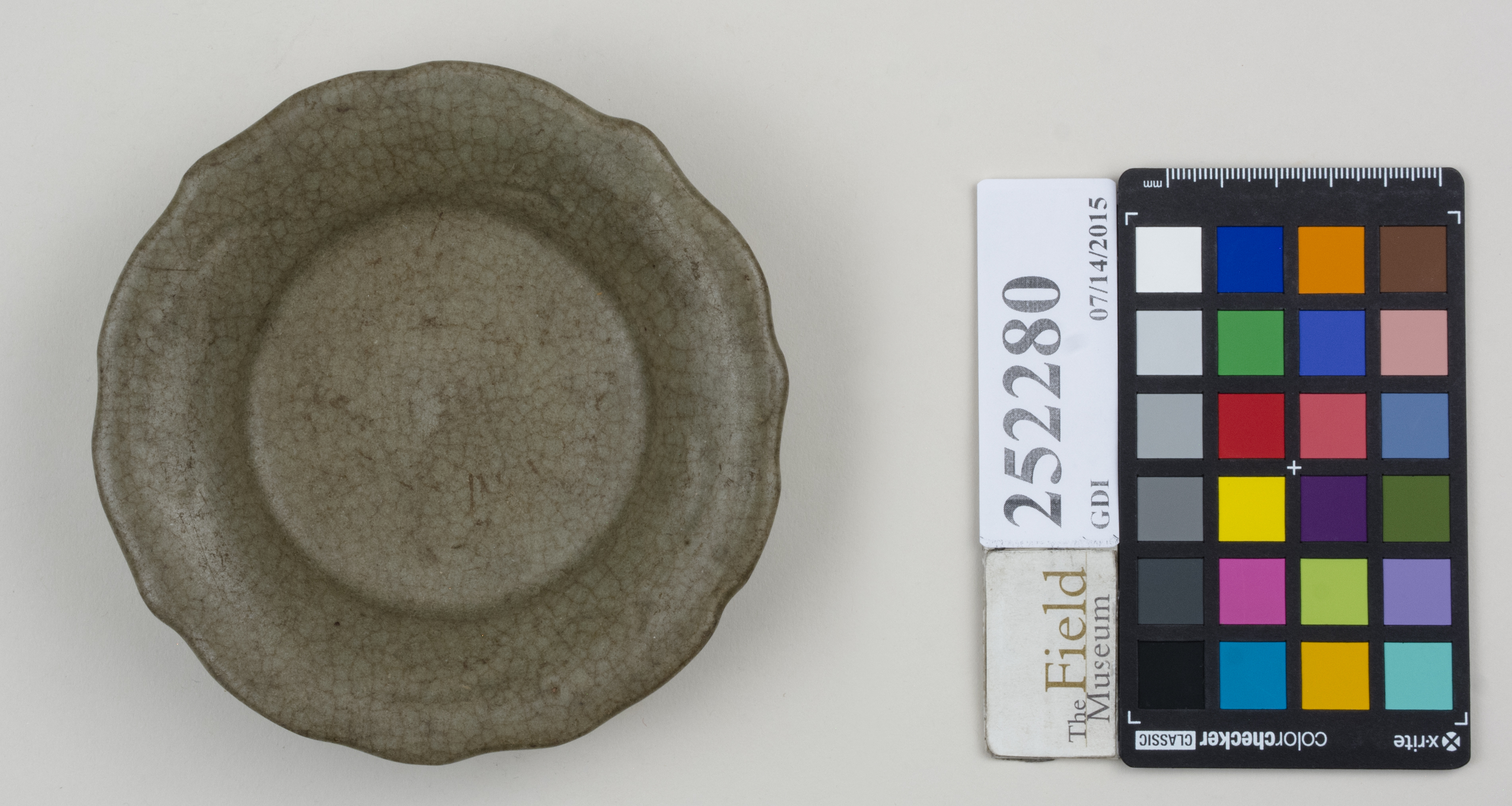 Top (c) Field Museum of Natural History - CC BY-NC 4.0