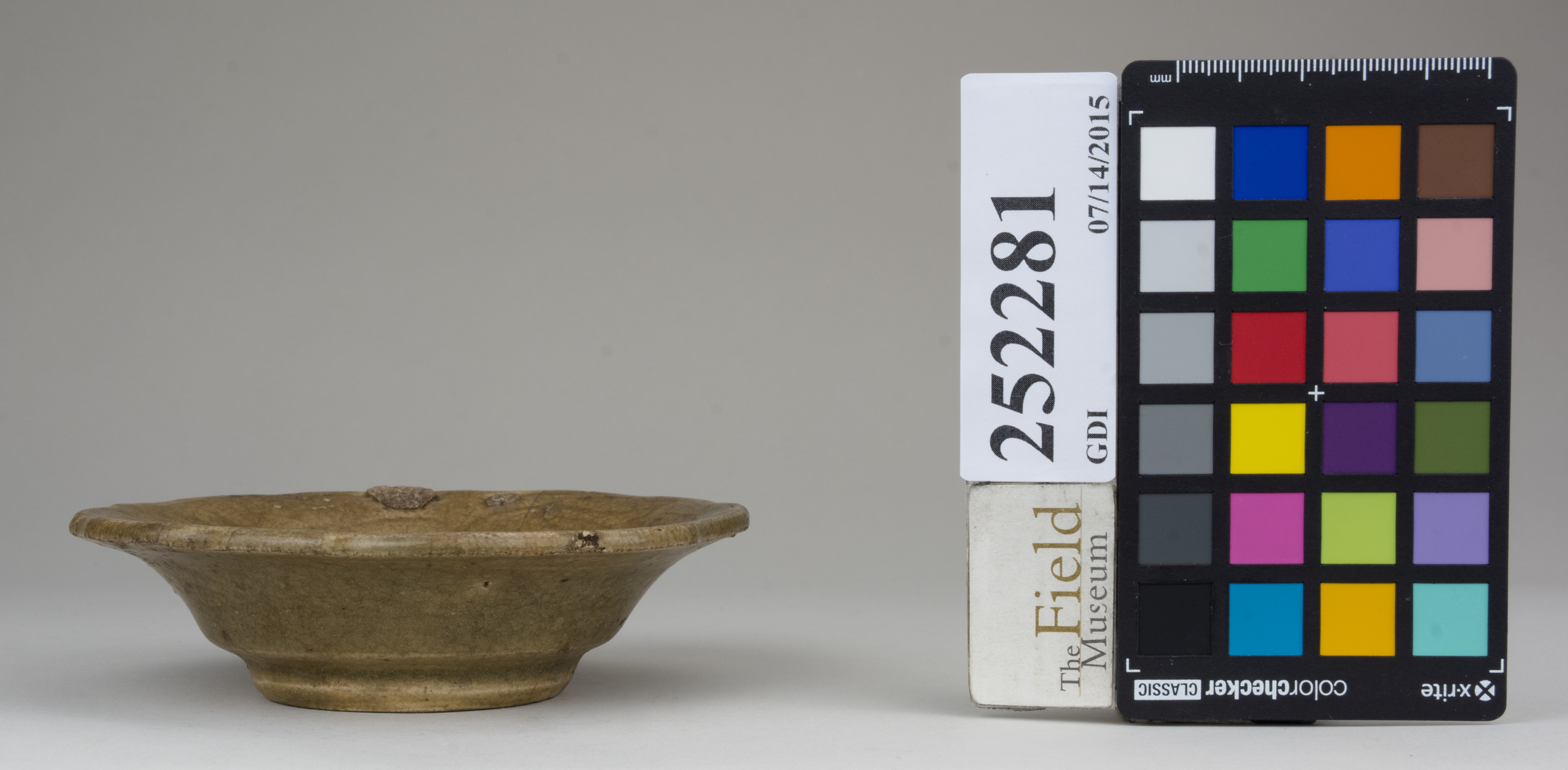 reference image, back (c) Field Museum of Natural History - CC BY-NC 4.0