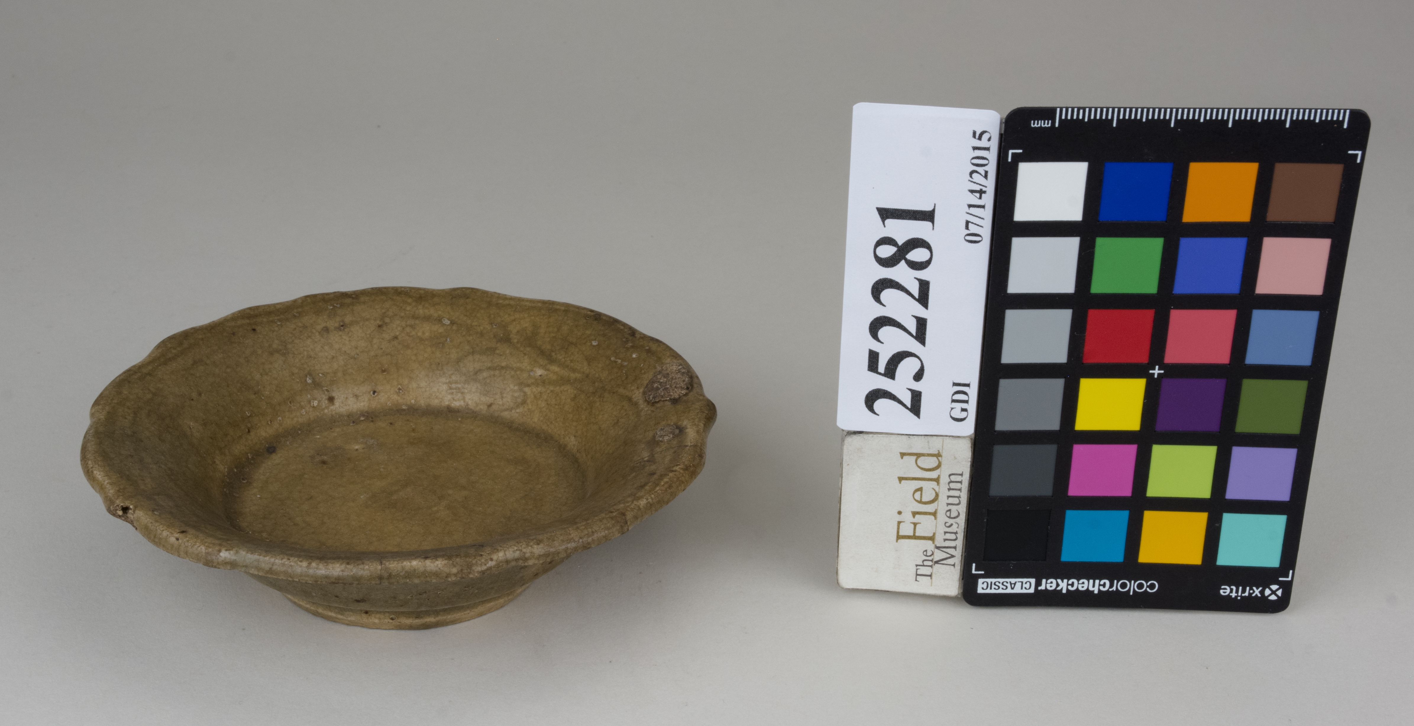 FrontAngle (c) Field Museum of Natural History - CC BY-NC 4.0