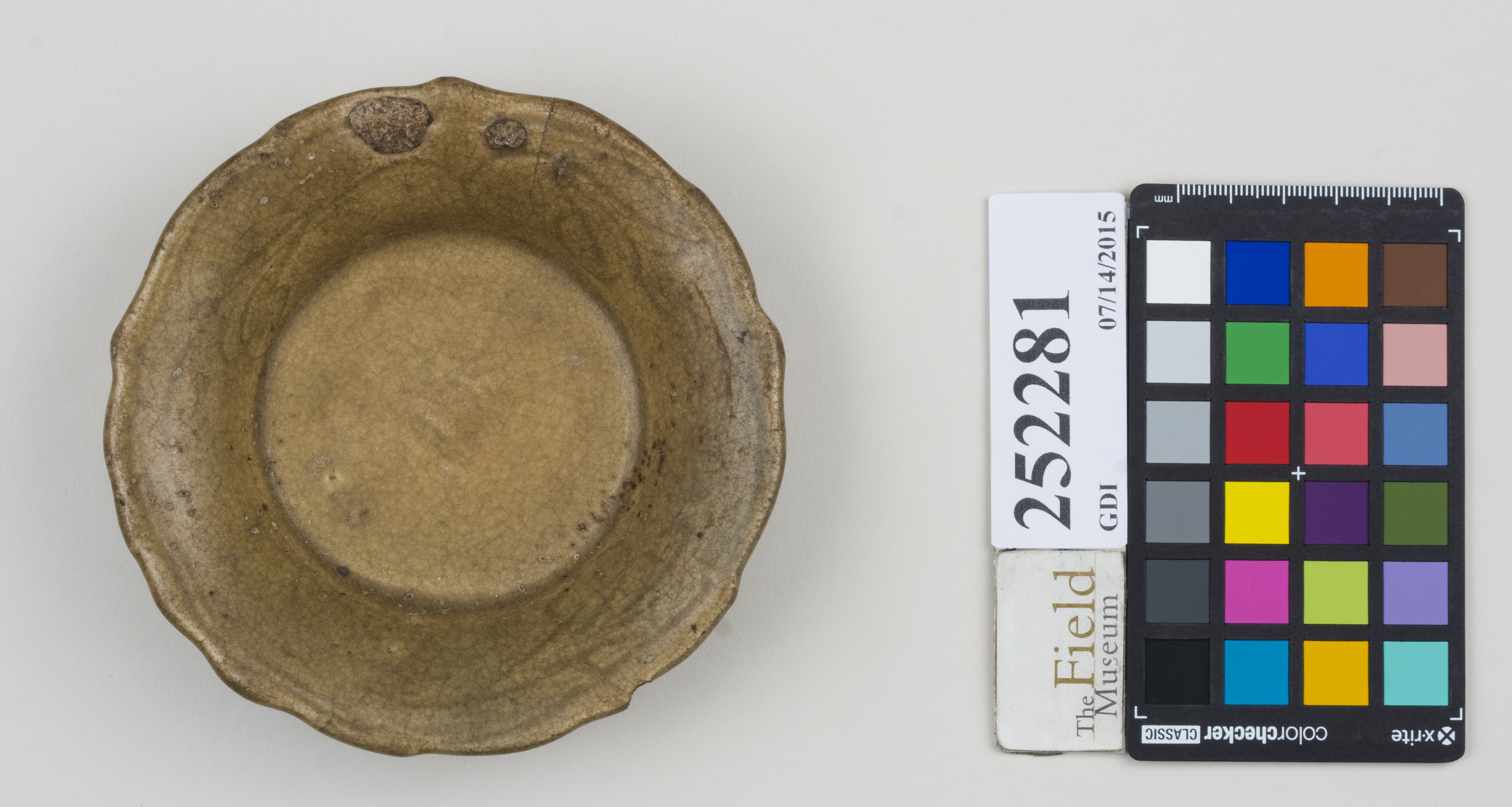 Top (c) Field Museum of Natural History - CC BY-NC 4.0