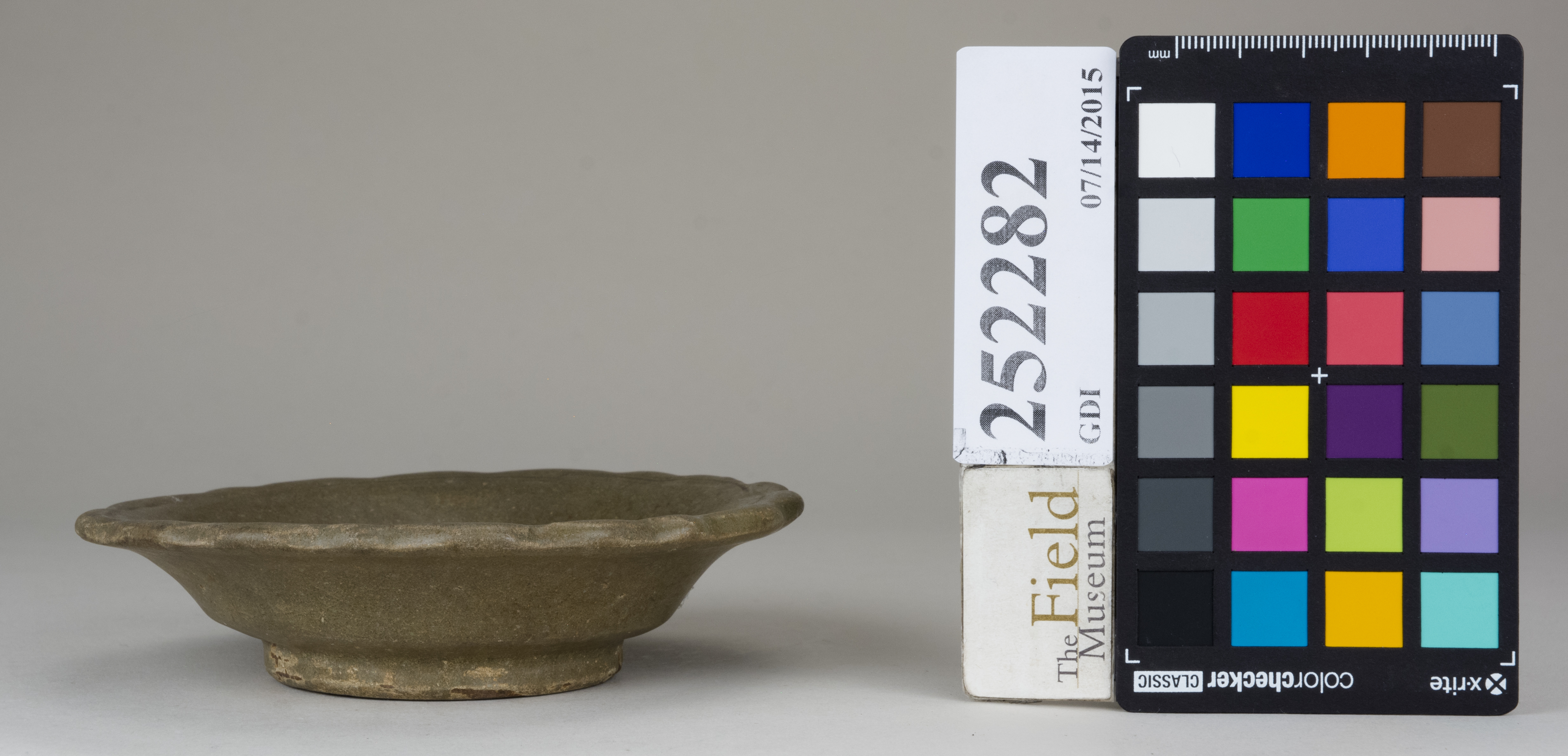 reference image, back (c) Field Museum of Natural History - CC BY-NC 4.0