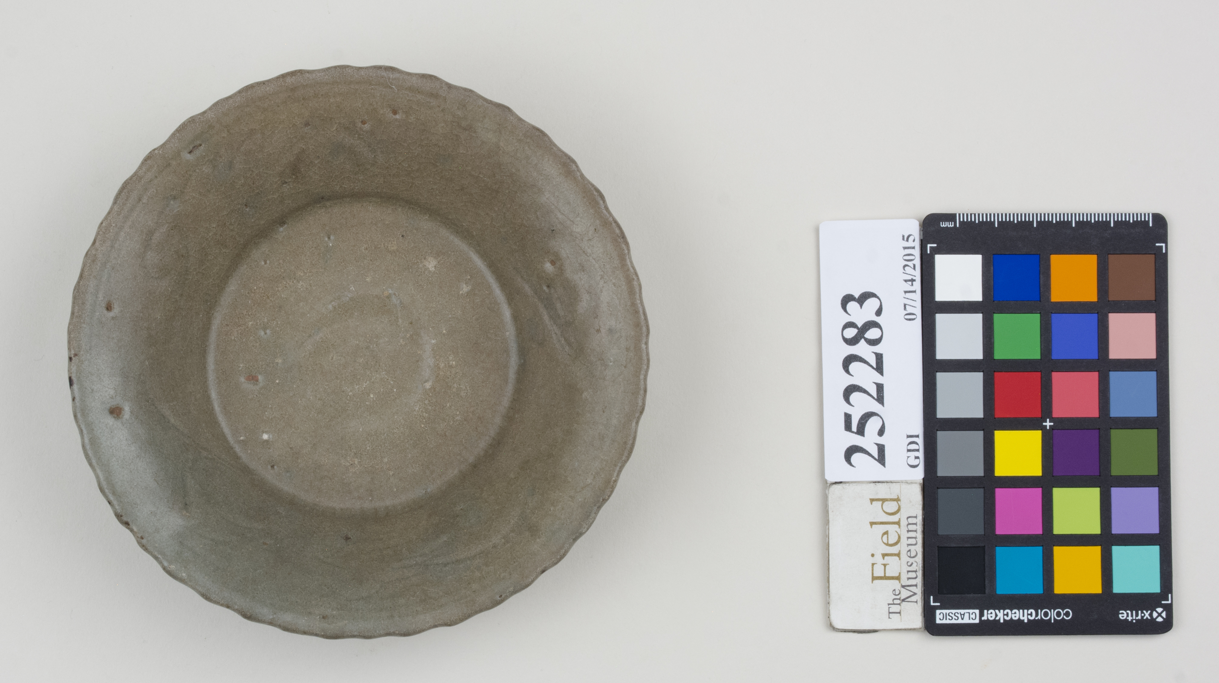 Top (c) Field Museum of Natural History - CC BY-NC 4.0