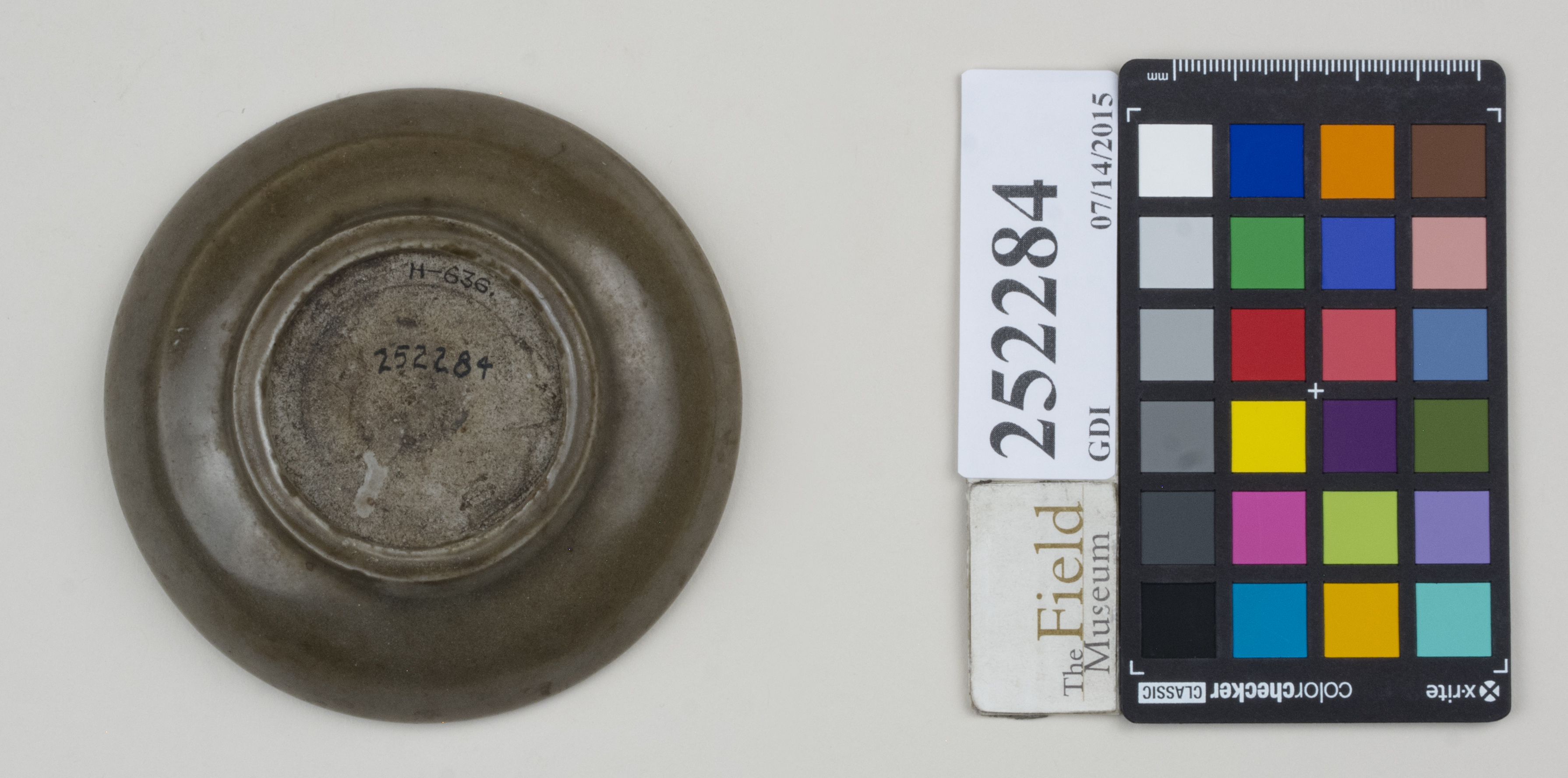 Bottom (c) Field Museum of Natural History - CC BY-NC 4.0