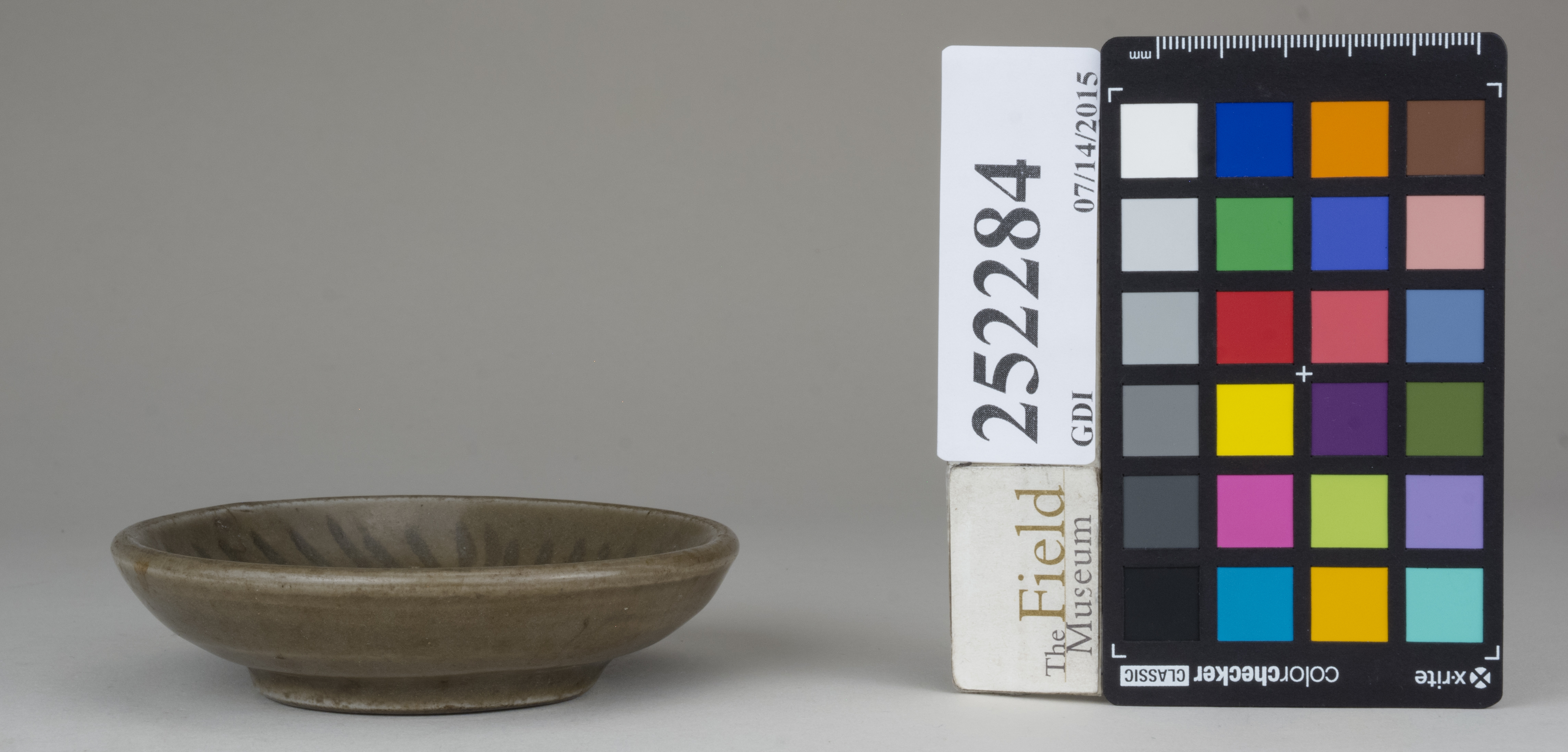 Front (c) Field Museum of Natural History - CC BY-NC 4.0