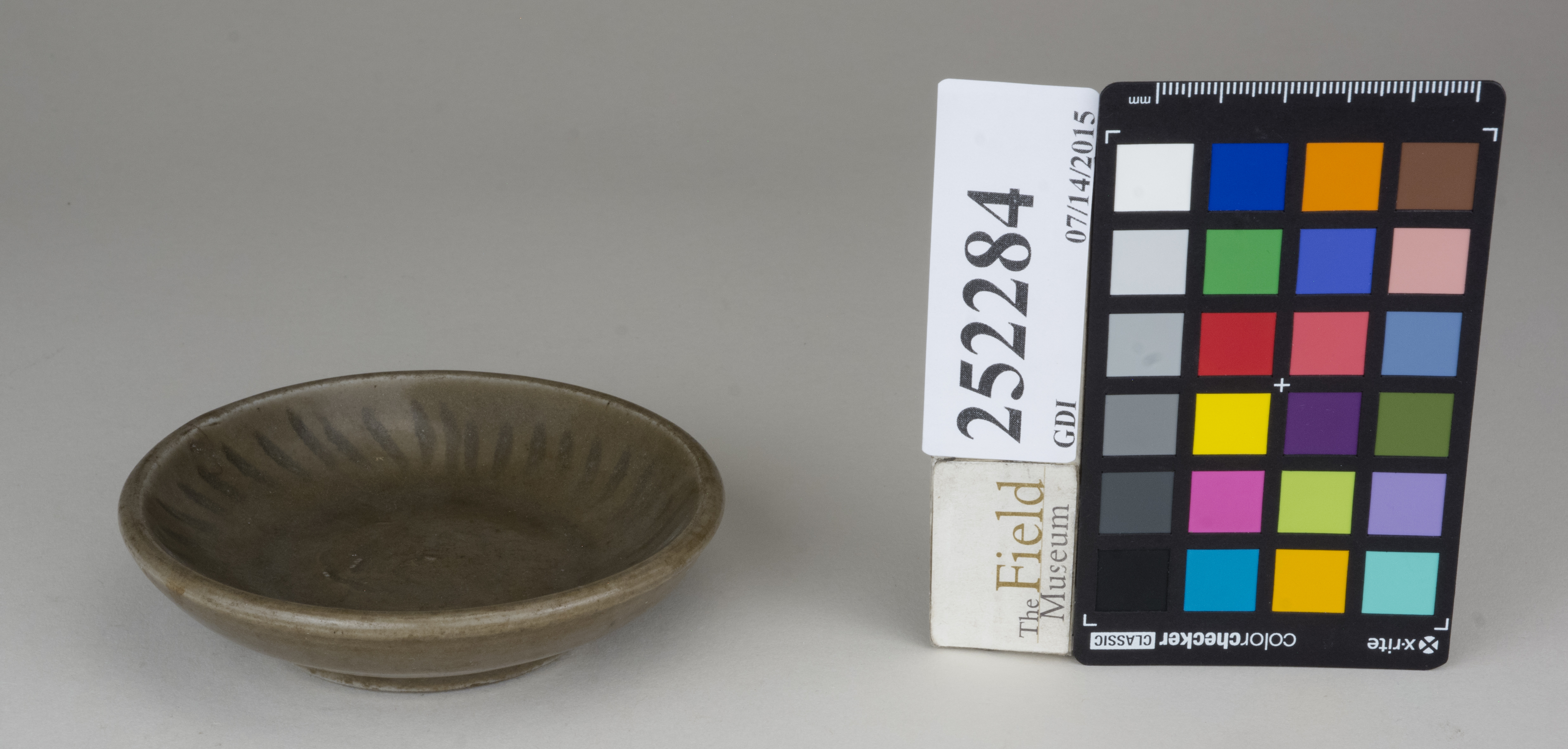 FrontAngle (c) Field Museum of Natural History - CC BY-NC 4.0