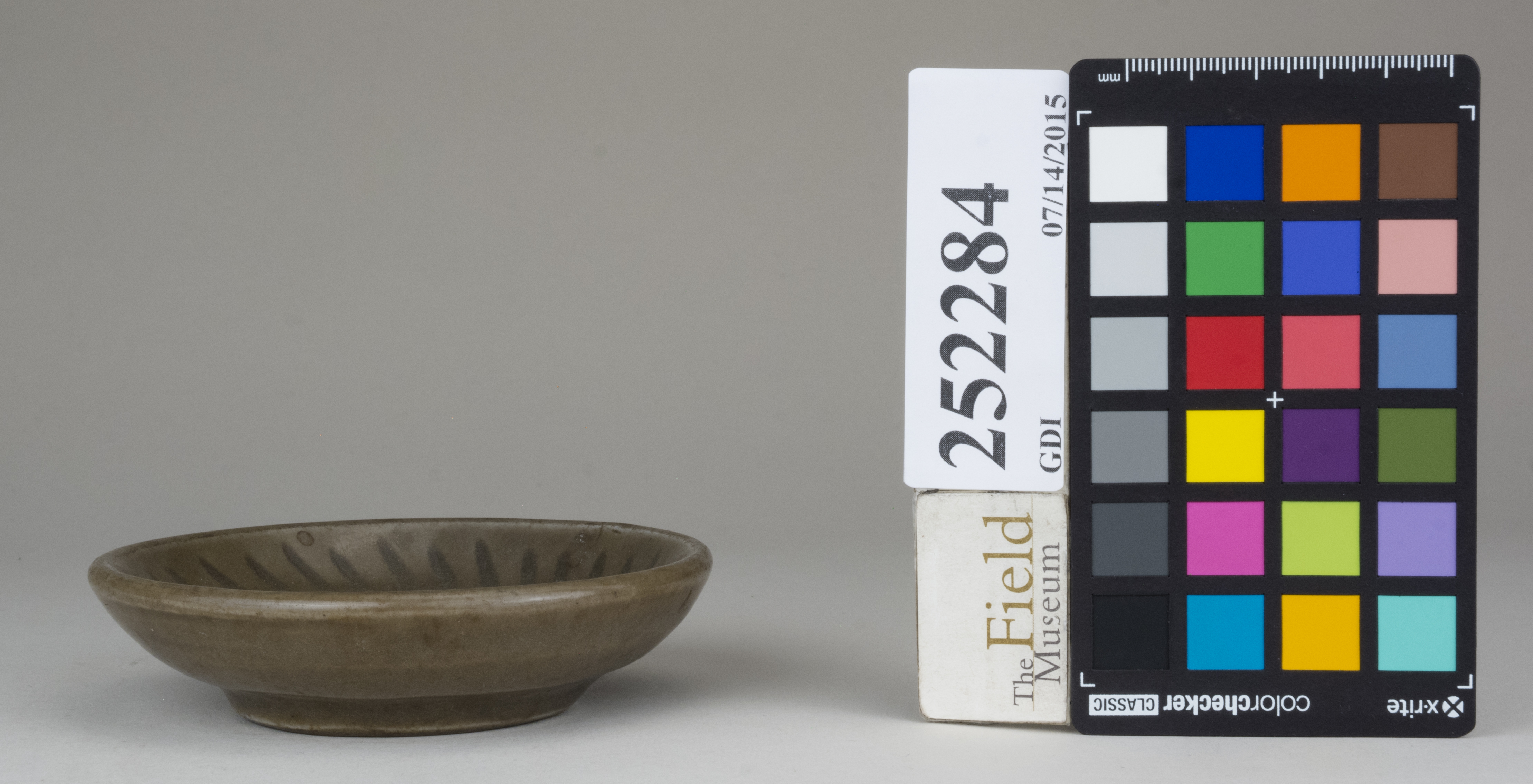 Left (c) Field Museum of Natural History - CC BY-NC 4.0