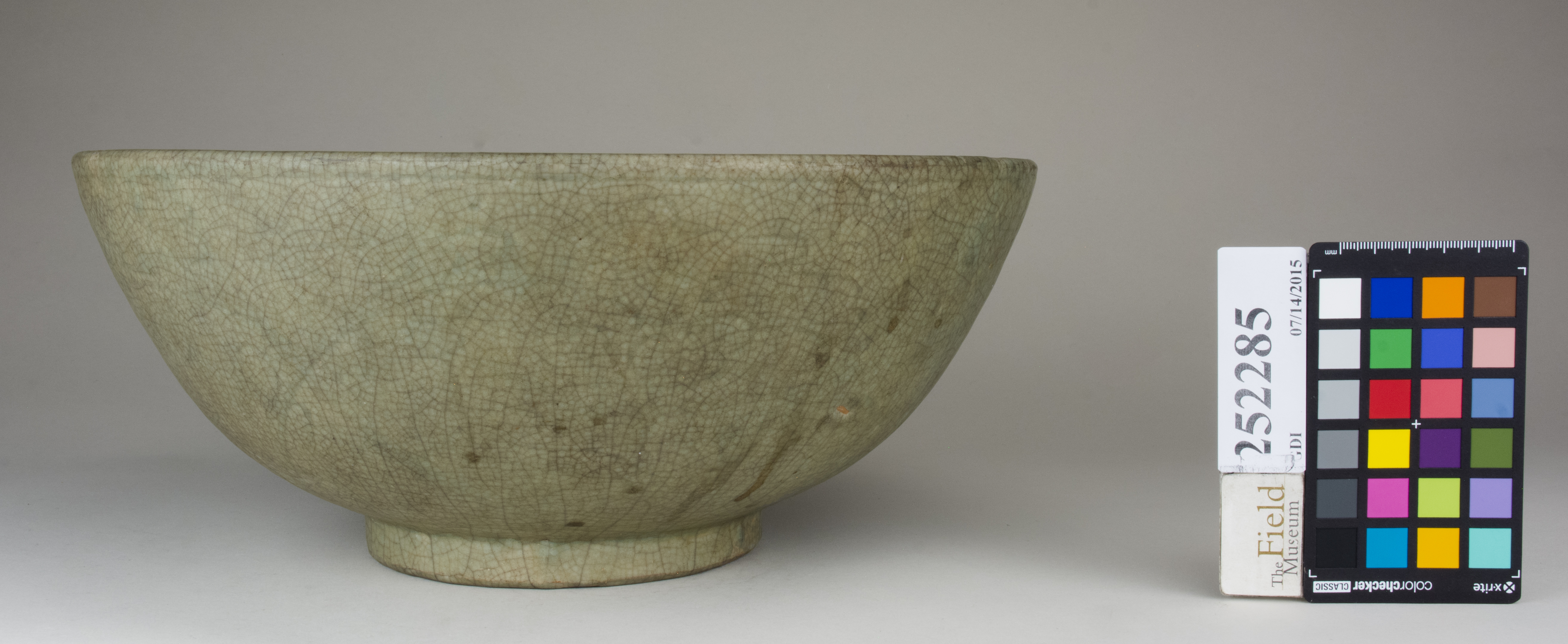 reference image, back (c) Field Museum of Natural History - CC BY-NC 4.0