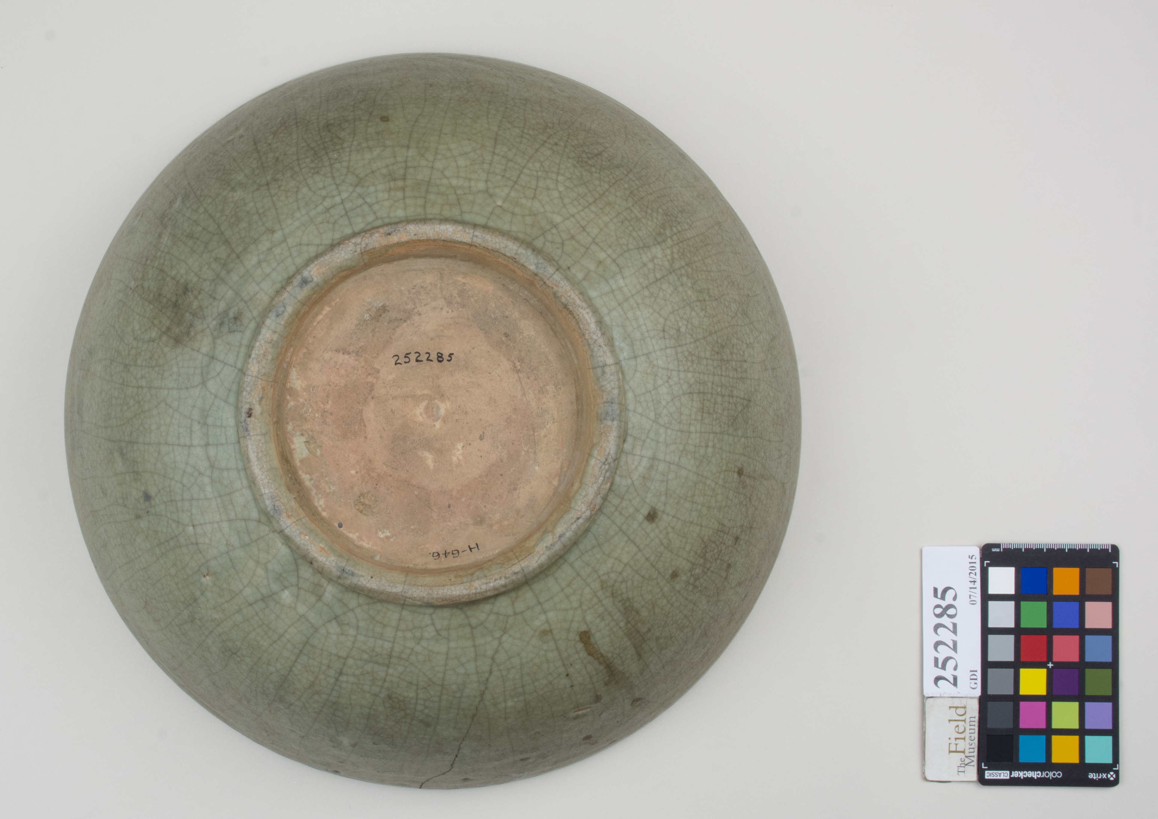 Bottom (c) Field Museum of Natural History - CC BY-NC 4.0