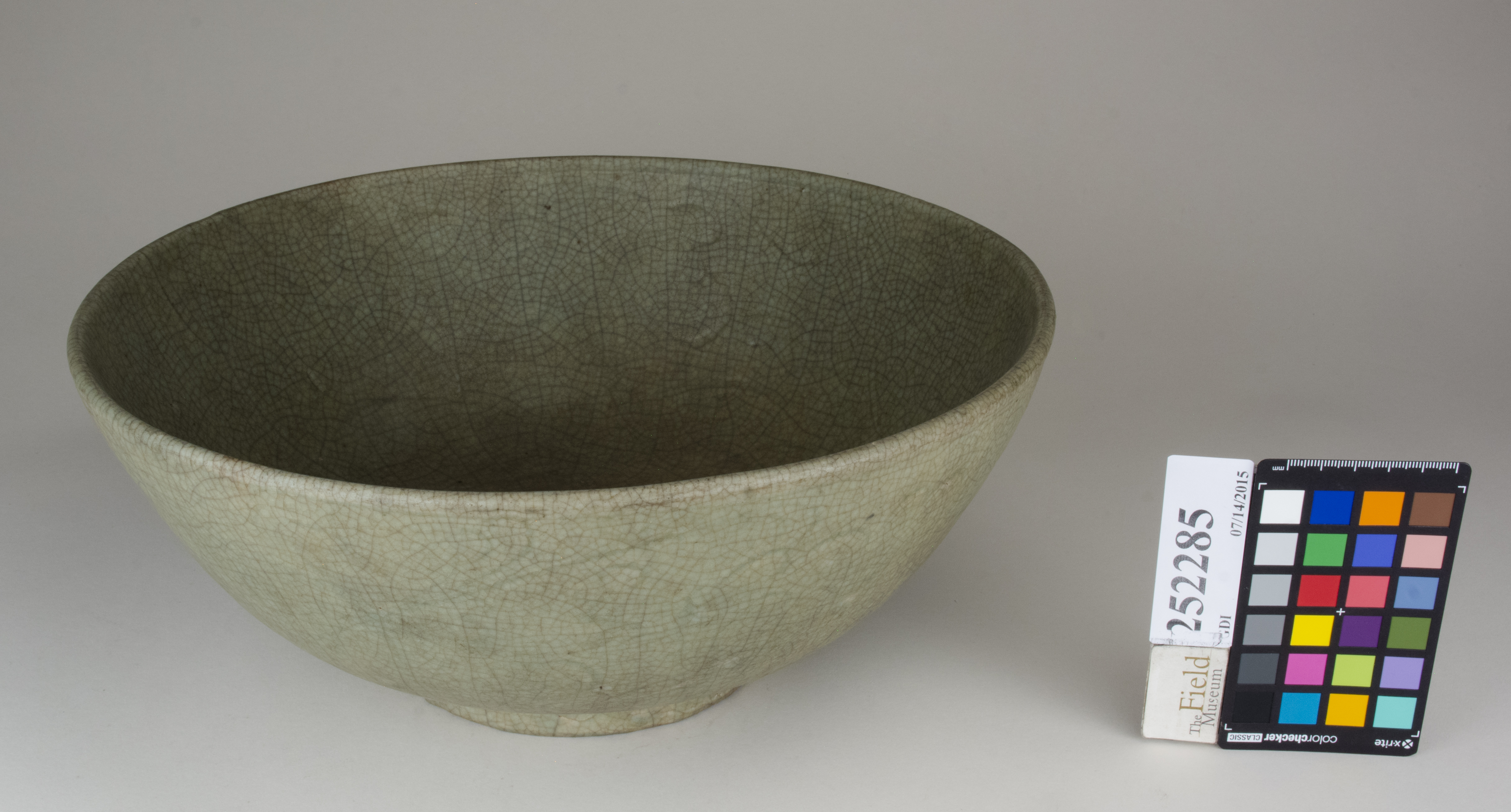 FrontAngle (c) Field Museum of Natural History - CC BY-NC 4.0