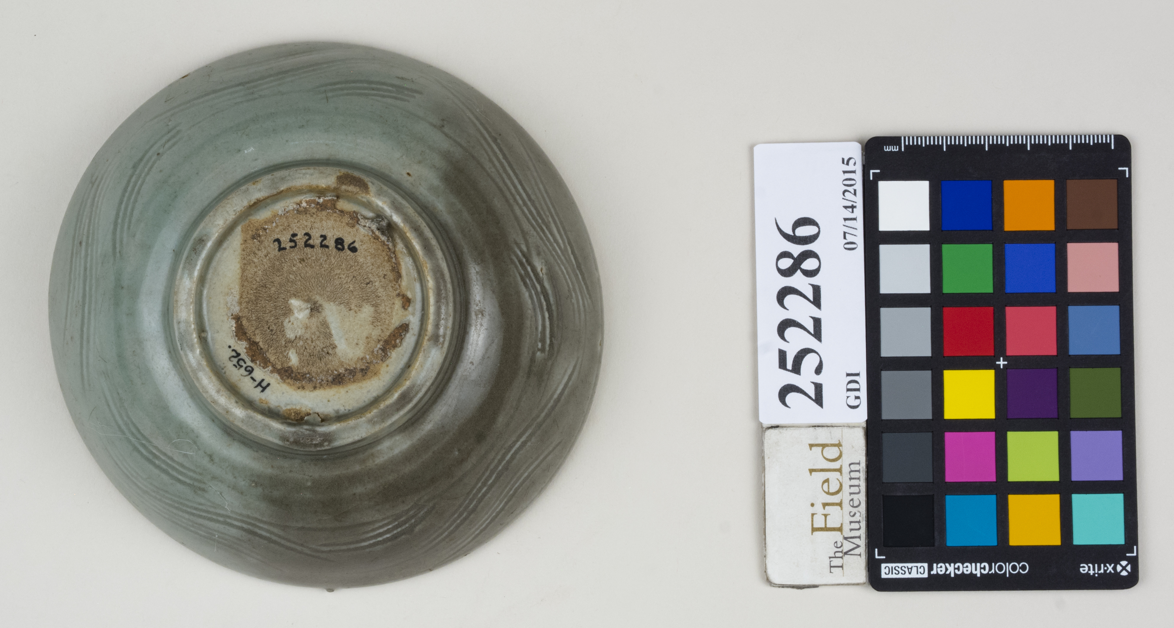 Bottom (c) Field Museum of Natural History - CC BY-NC 4.0